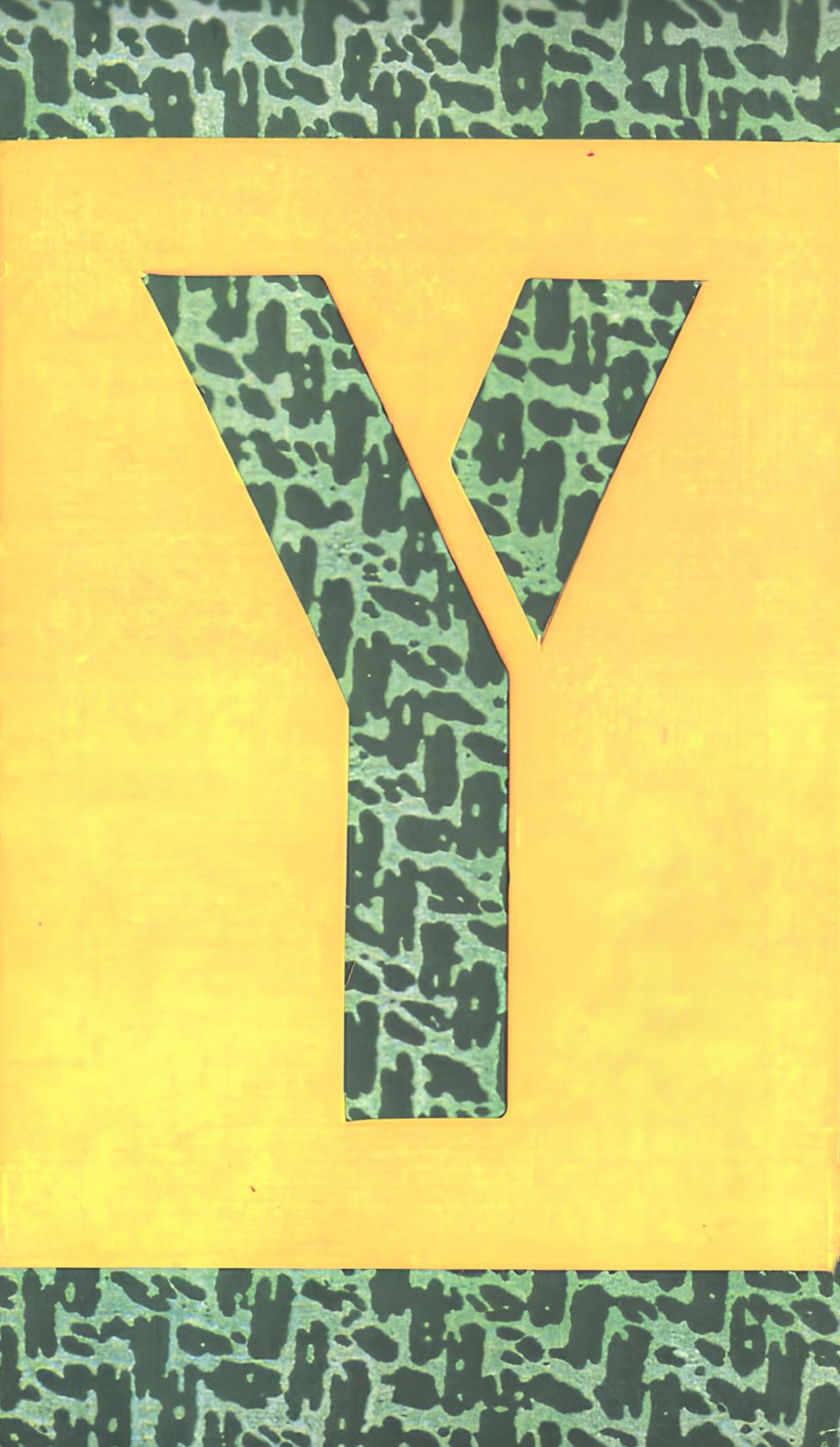 Y, Alphabet de David Hockney, David Hockney en vente 3