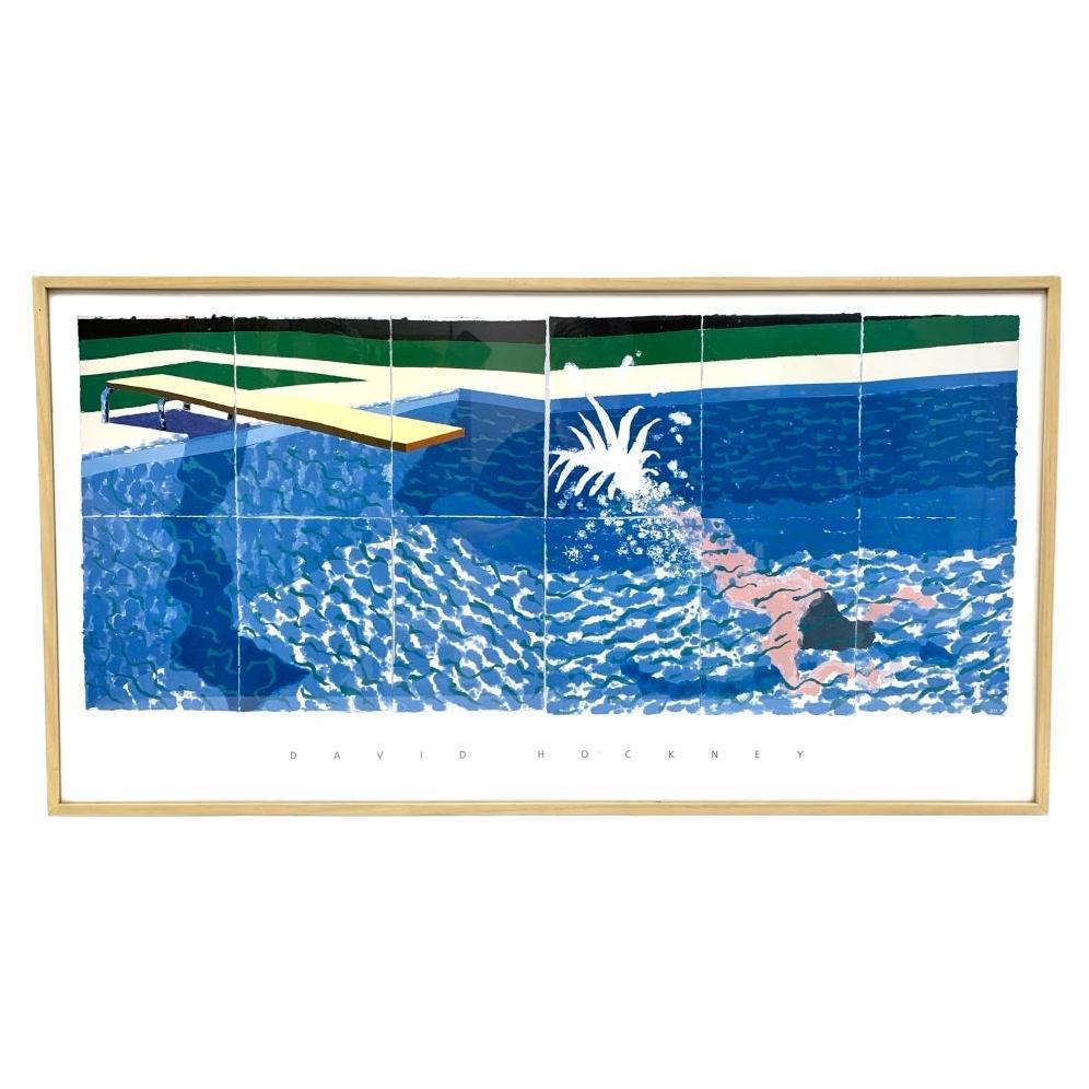 David Hockney "The Diver" Custom Framed Lithograph For Sale
