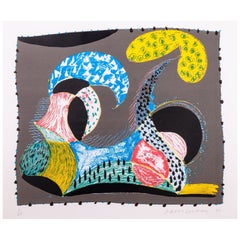 David Hockney Warm Start, de Some New Prints Litografía y serigrafía 6/68