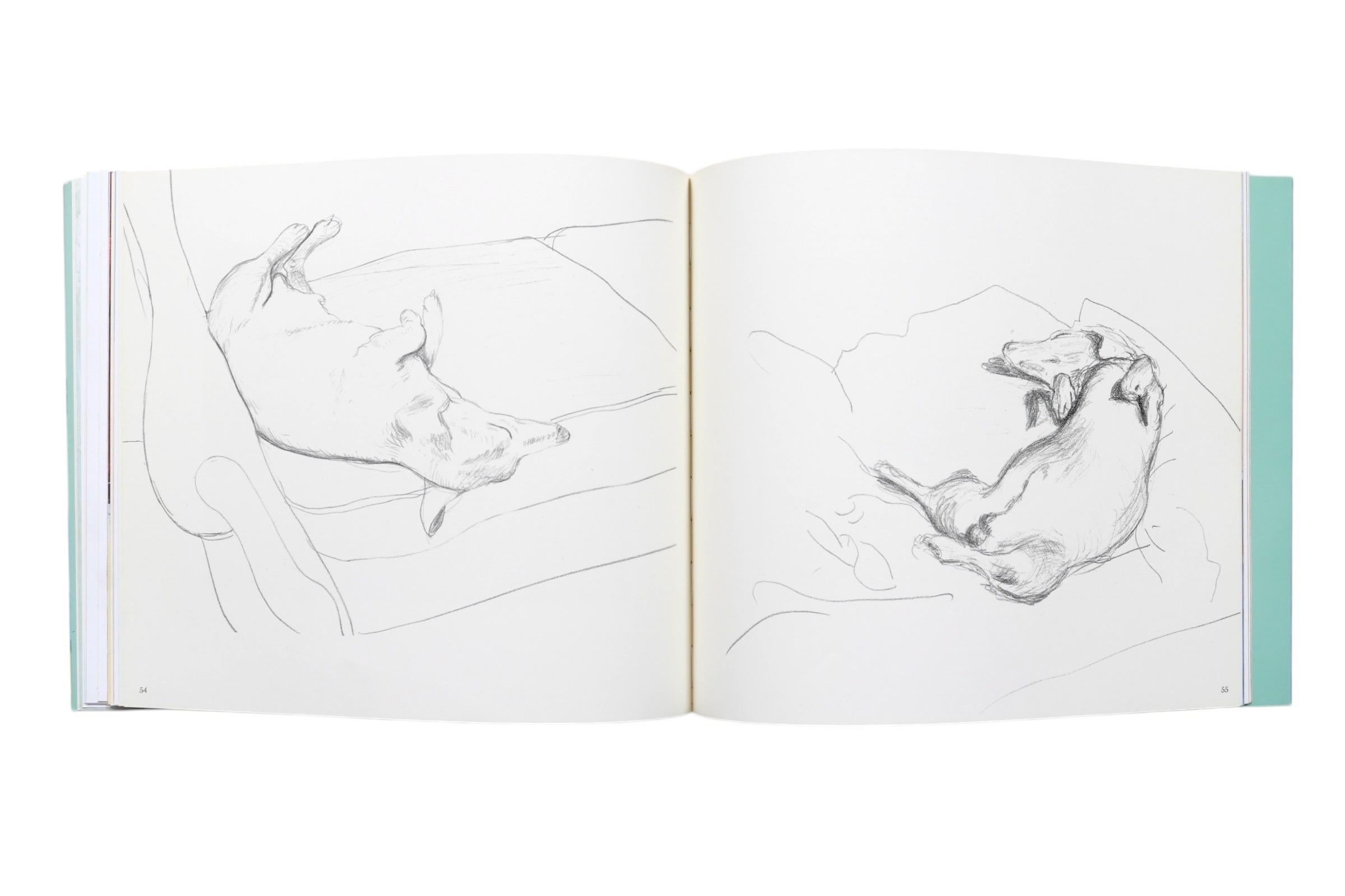 Carta I giorni da cani di David Hockney in vendita