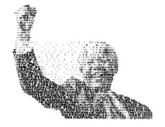 Nelson Mandela Screen Print by David Hollier