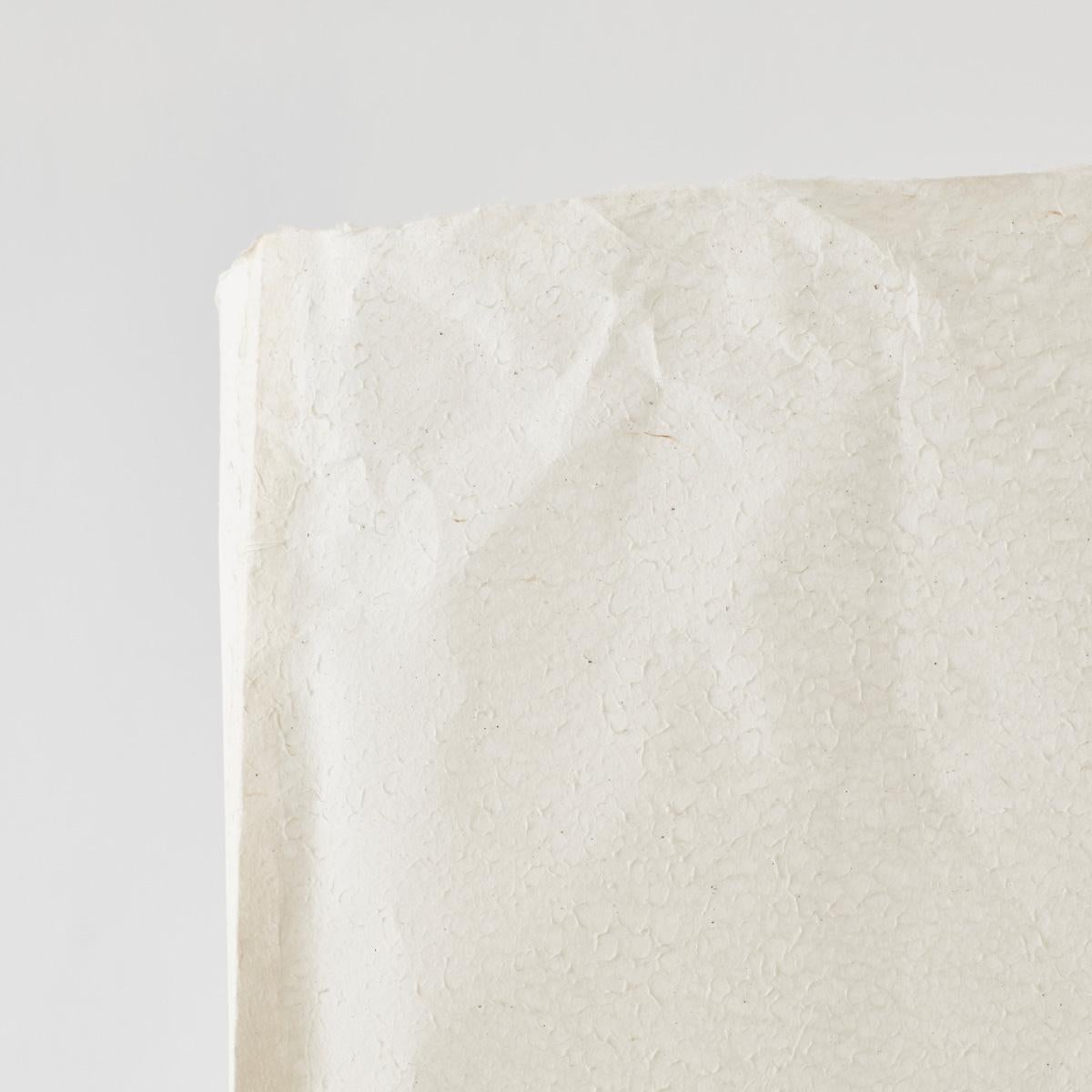 XXIe siècle et contemporain David Horan Lampadaire en papier en finition polie pour Béton Brut, Royaume-Uni, 2022. en vente