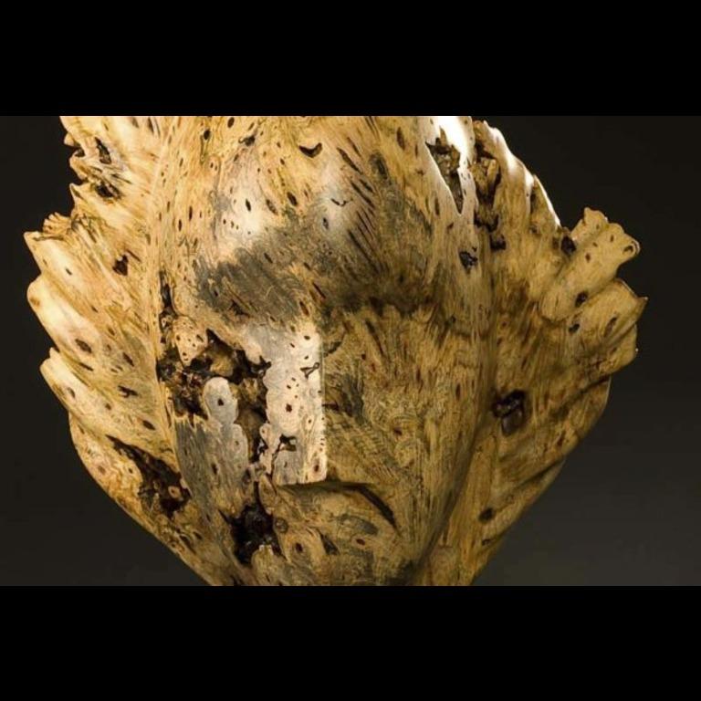 Head sculpture is 18.5"h. Base is 2.5"h x 10.5"d. David was inspired to carve a burl after receiving a turned burlwood bowl. He captured the shape and remained true to his carving face features even though the burl presents these natural gaps and