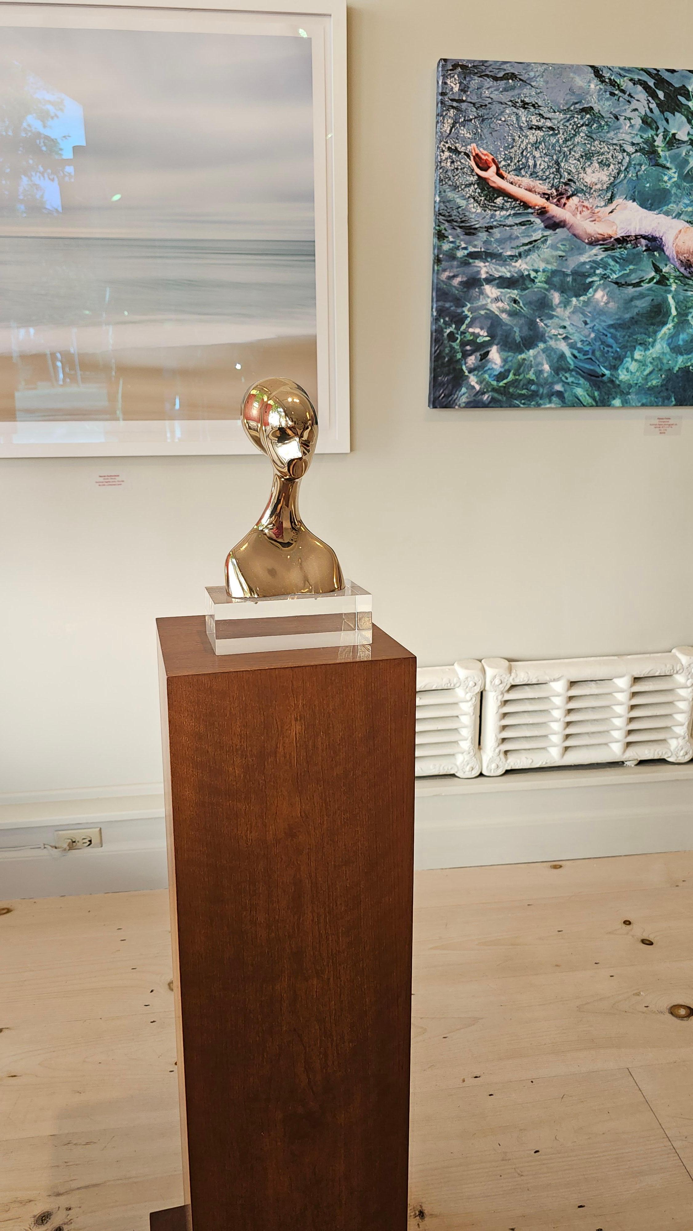David Hostetler Bronce Pulido Busto Forma Femenina Oro Brillante Egipcio en venta 9