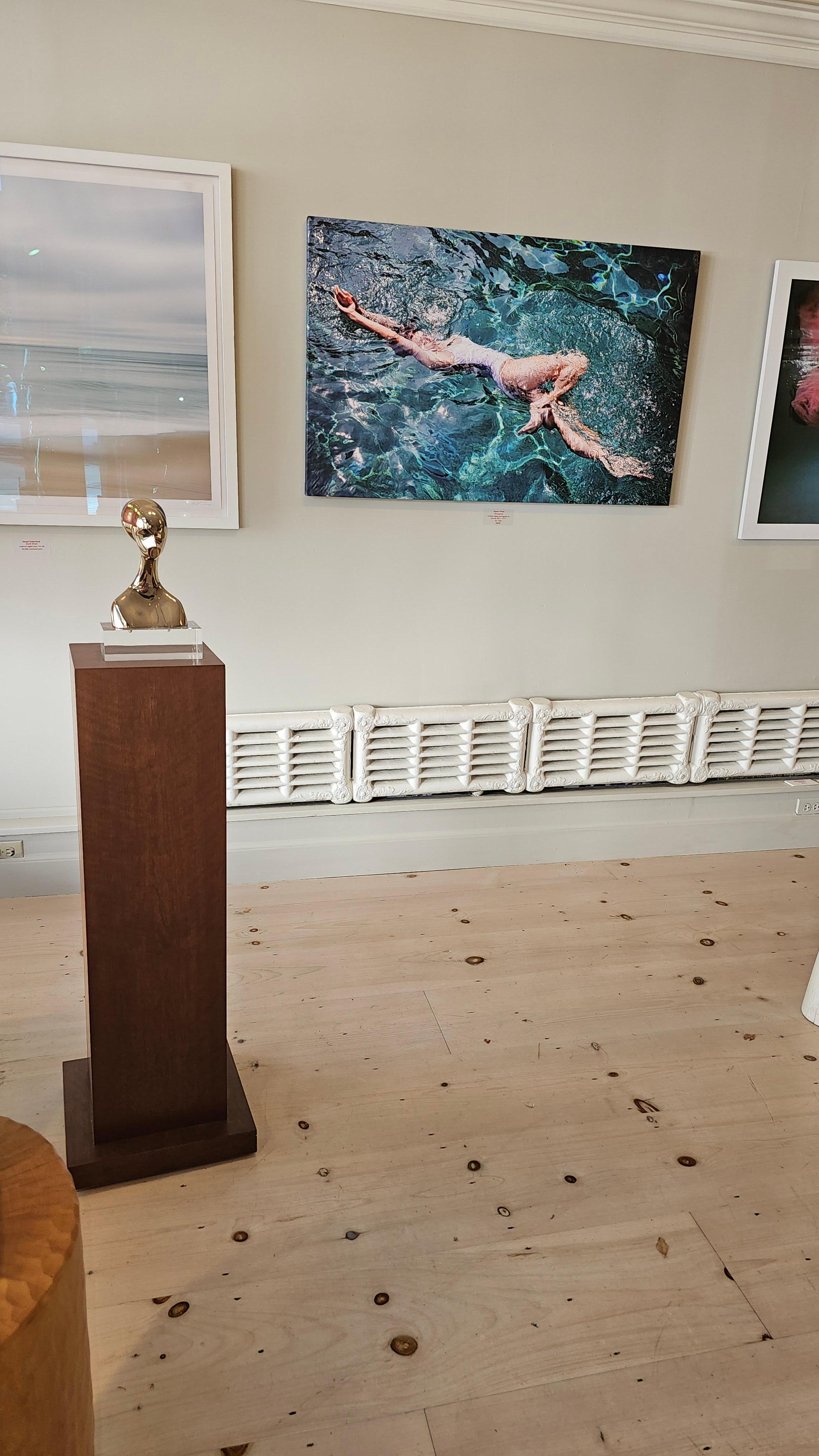 David Hostetler Bronce Pulido Busto Forma Femenina Oro Brillante Egipcio en venta 8
