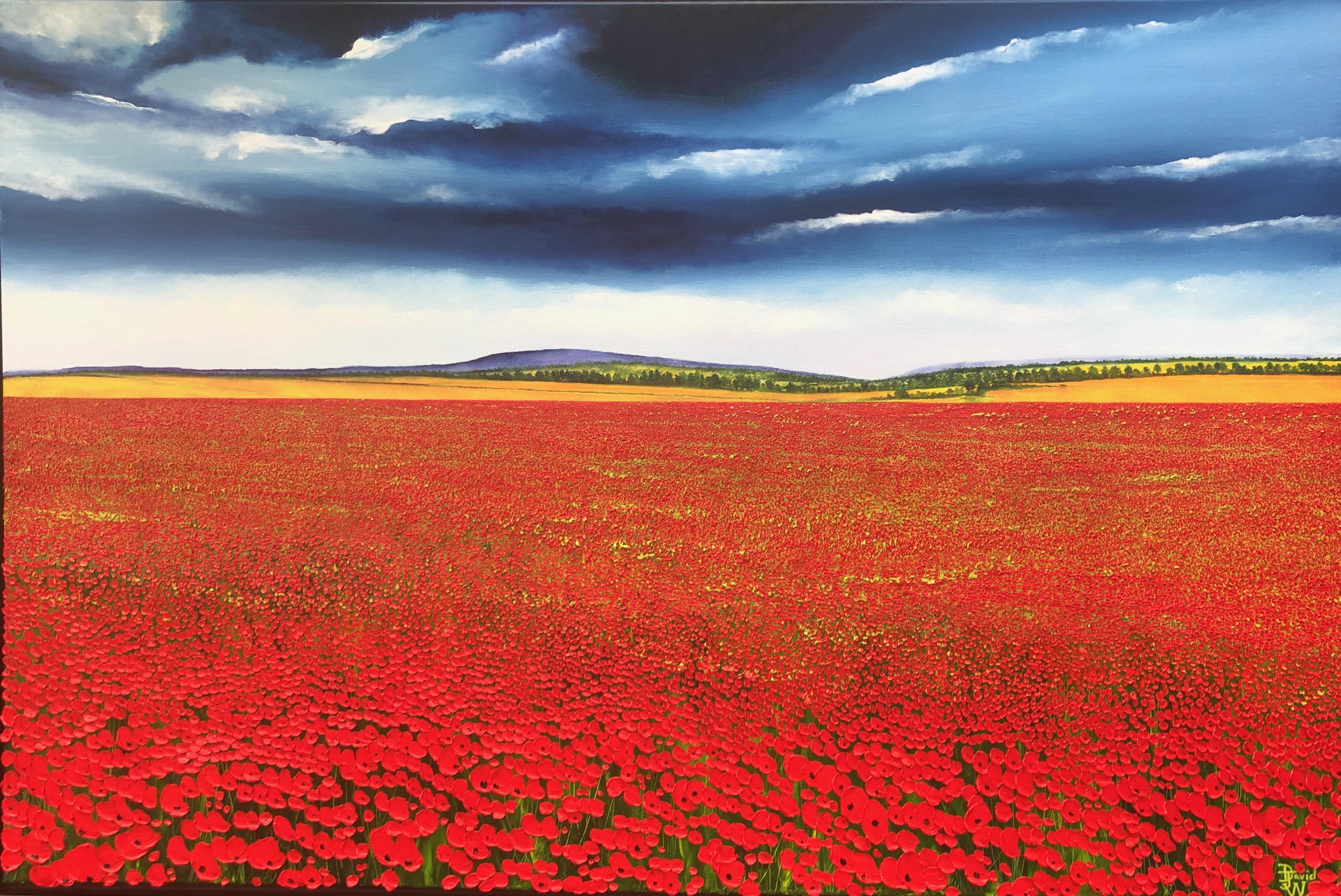A Sea Of Poppies.   Large Contemporary Landscape Painting