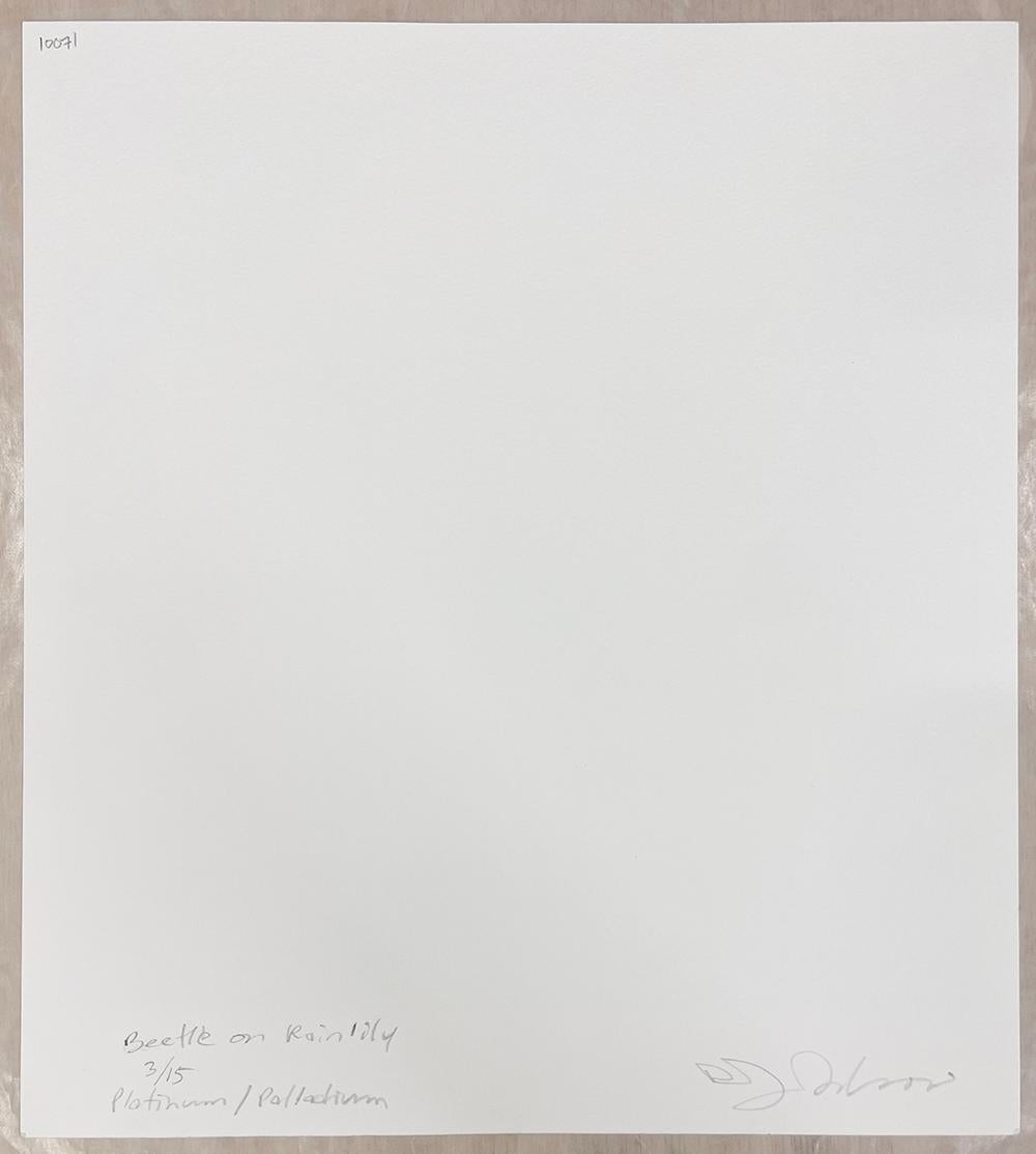 Auflage von 15
Signiert, betitelt, nummeriert und Drucktyp.
Serie: Terrestrische
Platin-Palladium-Druck

Als David Johndrow die Fotografie mit seiner Leidenschaft für den Garten verband, entdeckte er in seinem eigenen Garten eine kleine Welt von