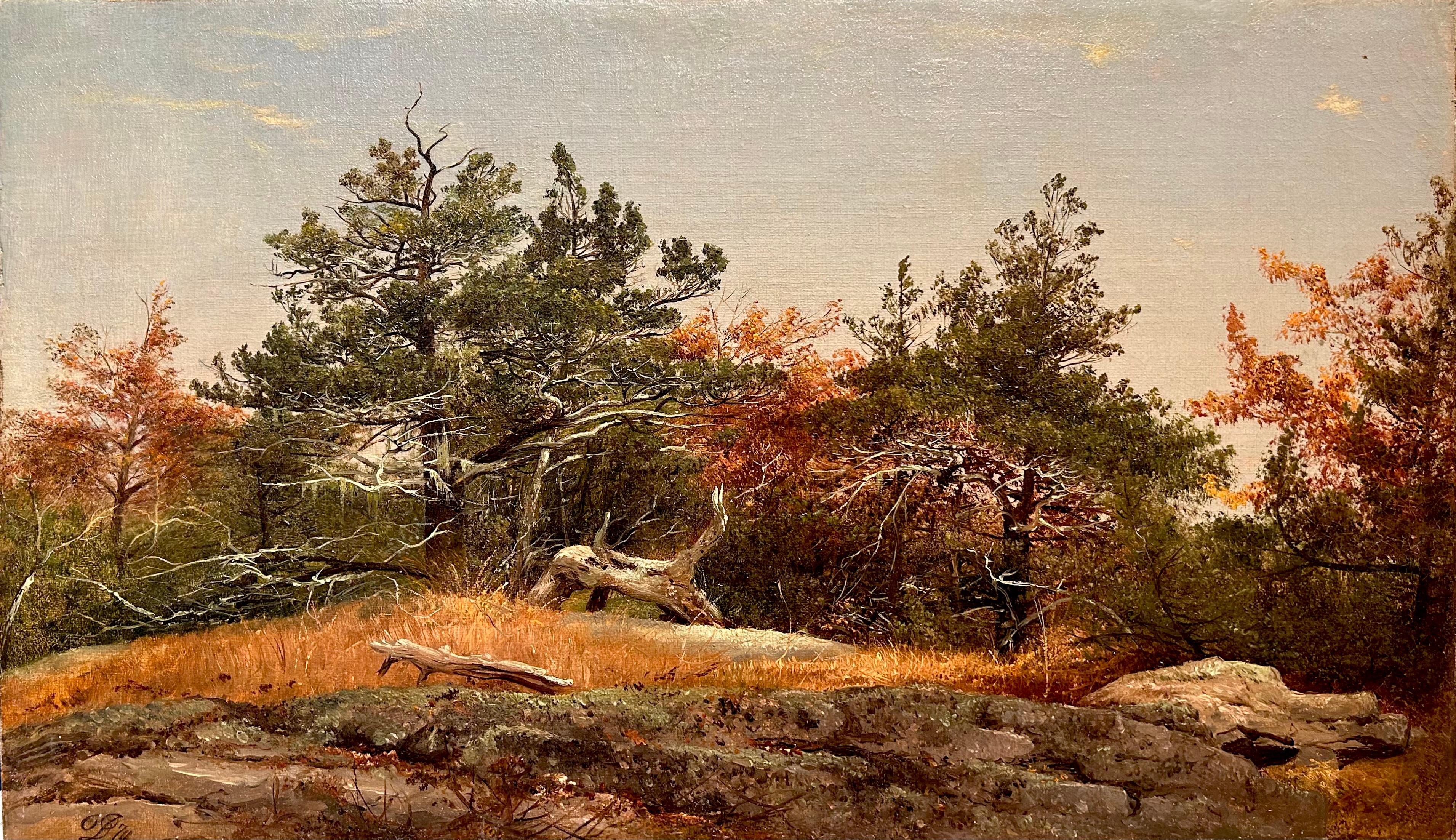 David Johnson Landscape Painting – Öl-Landschaft des Herbstwaldes 