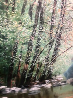 Large Acrylic Photorealist Painting Nature Scene Water & Light David Kessler