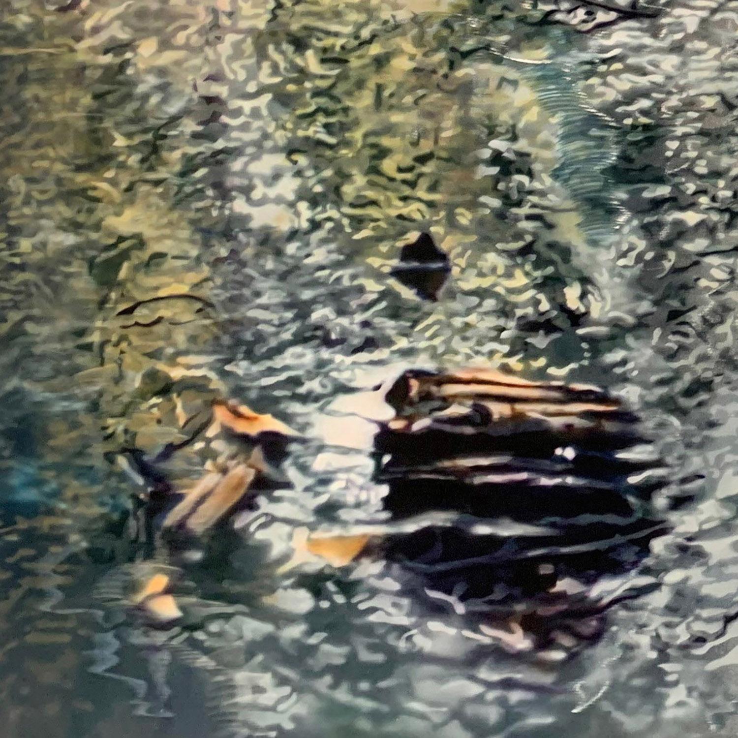 Calligraphie d'un étang - Photoréalisme Painting par David Kessler