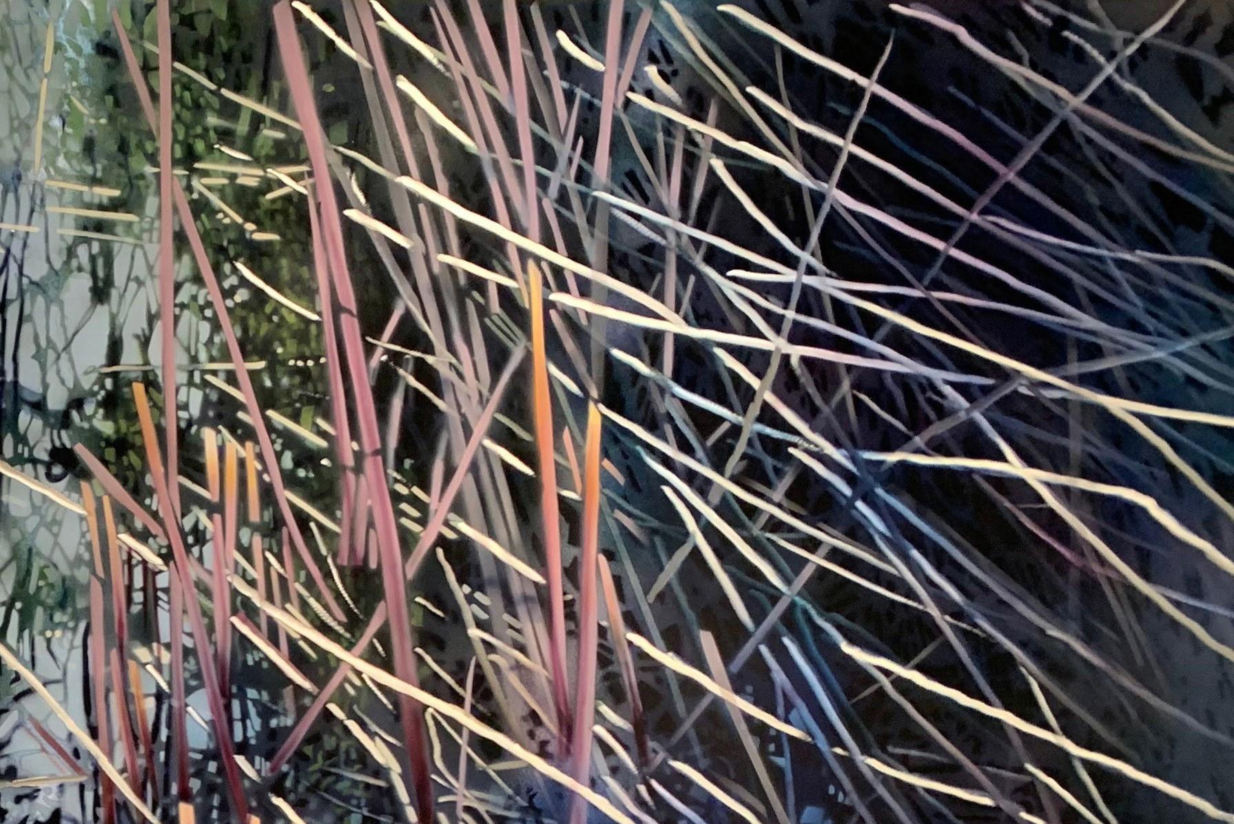 Progressione dell'ancia argentata - Painting Land di David Kessler