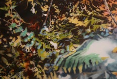 Voladizo reflejado, serigrafía fotorrealista de David T. Kessler