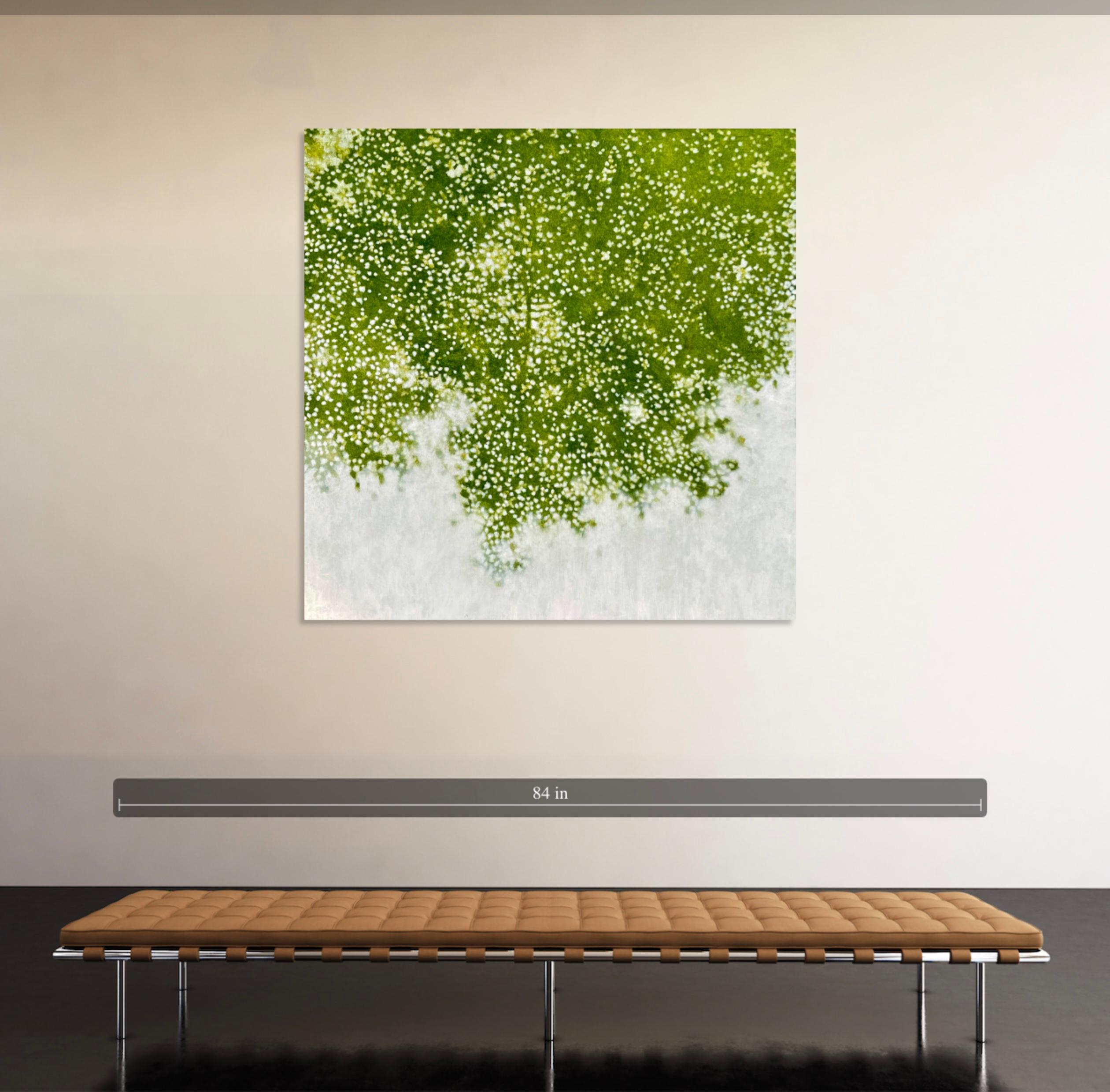 Dappled Shade 6