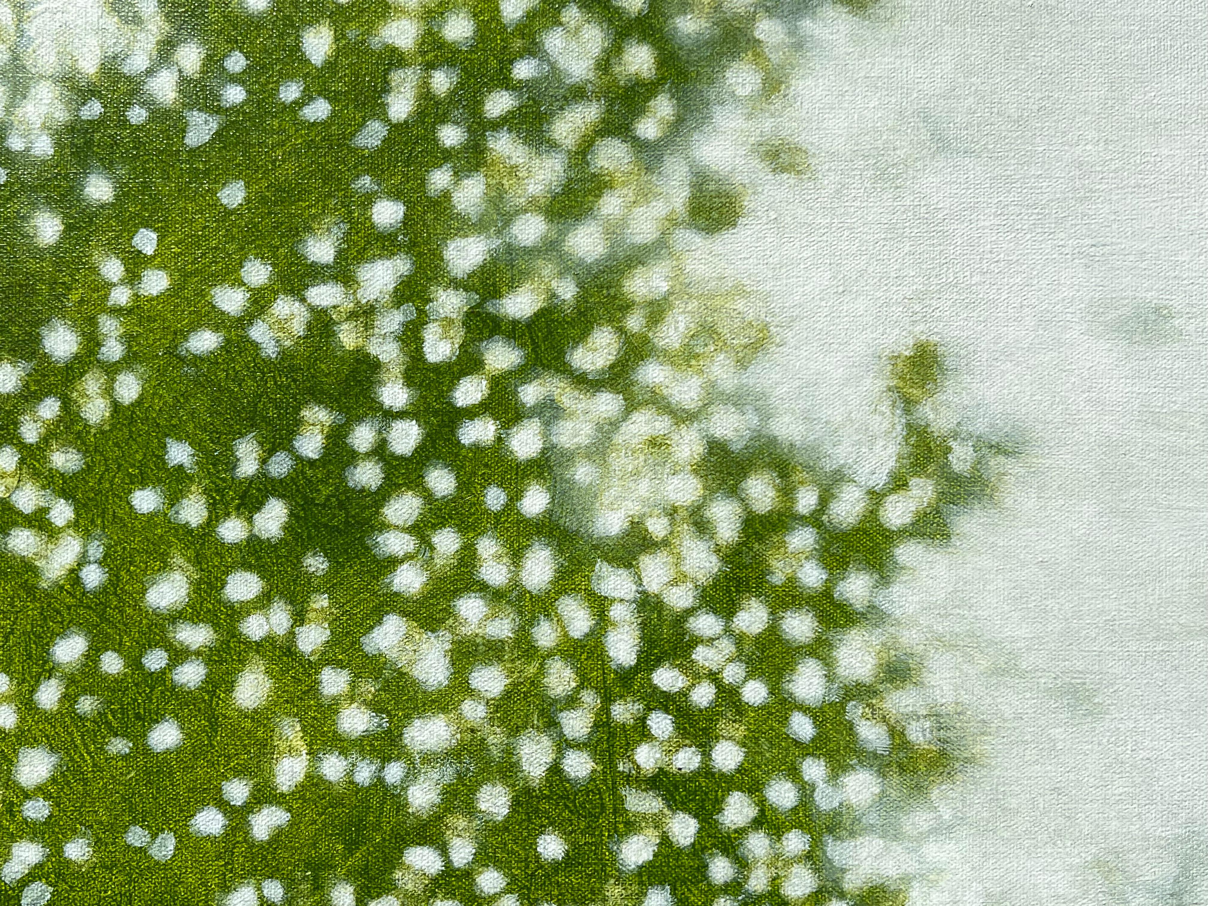 The recent paintings of Atlanta artist David Kidd continue an evolving series of images inspired by and based upon natural forms, specifically the shadows cast by trees and other vegetation. His paintings, in acrylic on birch panels or canvas,