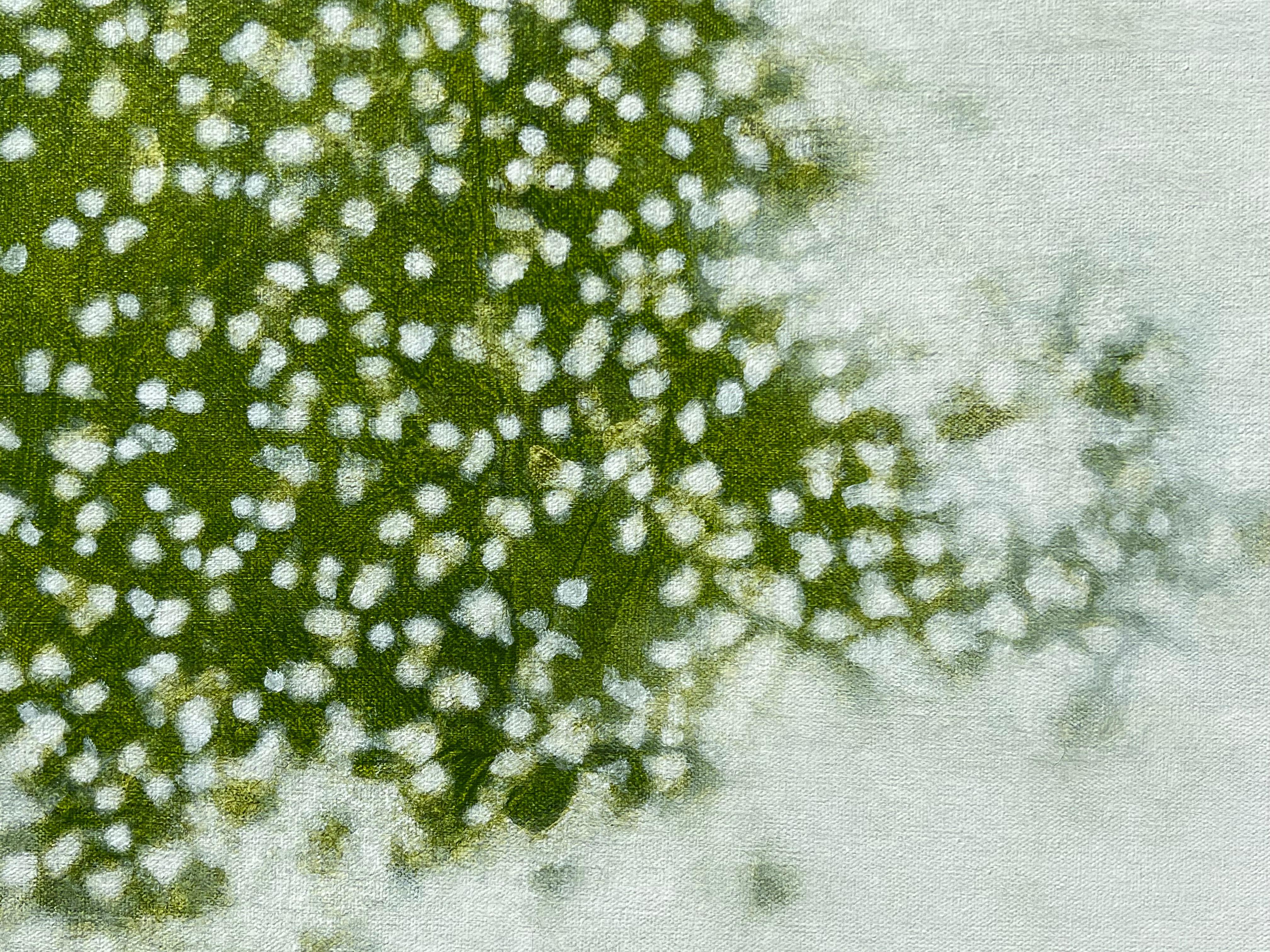 Dappled Shade 2