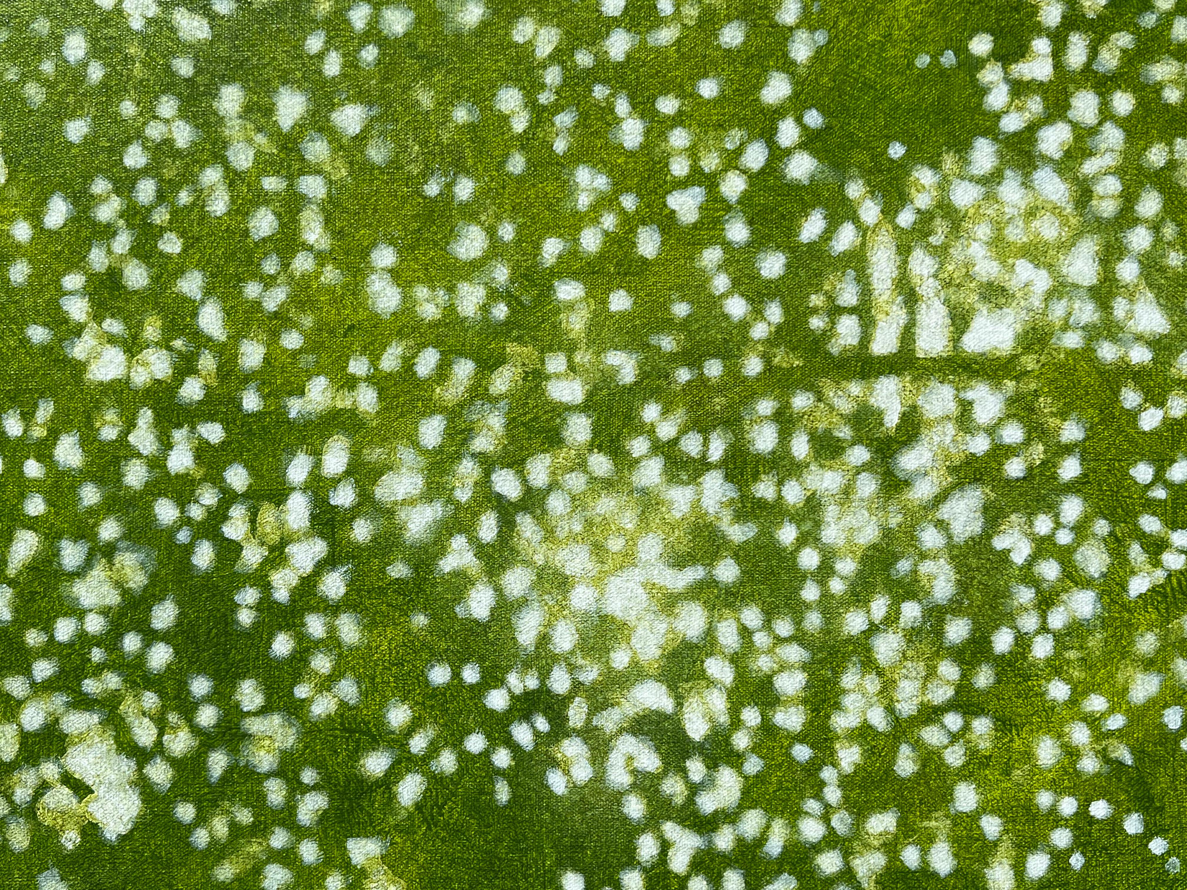 Dappled Shade 4