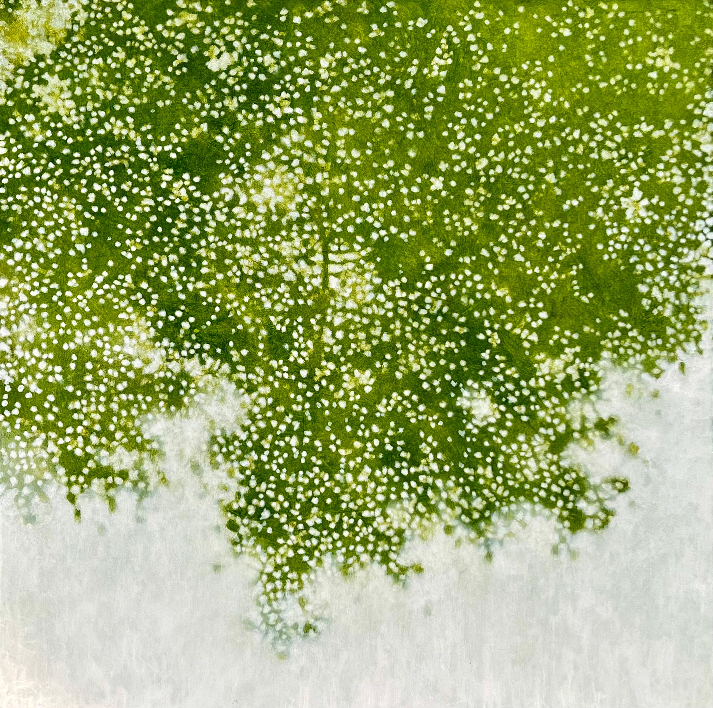 David Kidd Landscape Painting - Dappled Shade