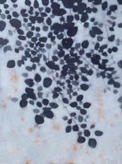 Foglie in ombra