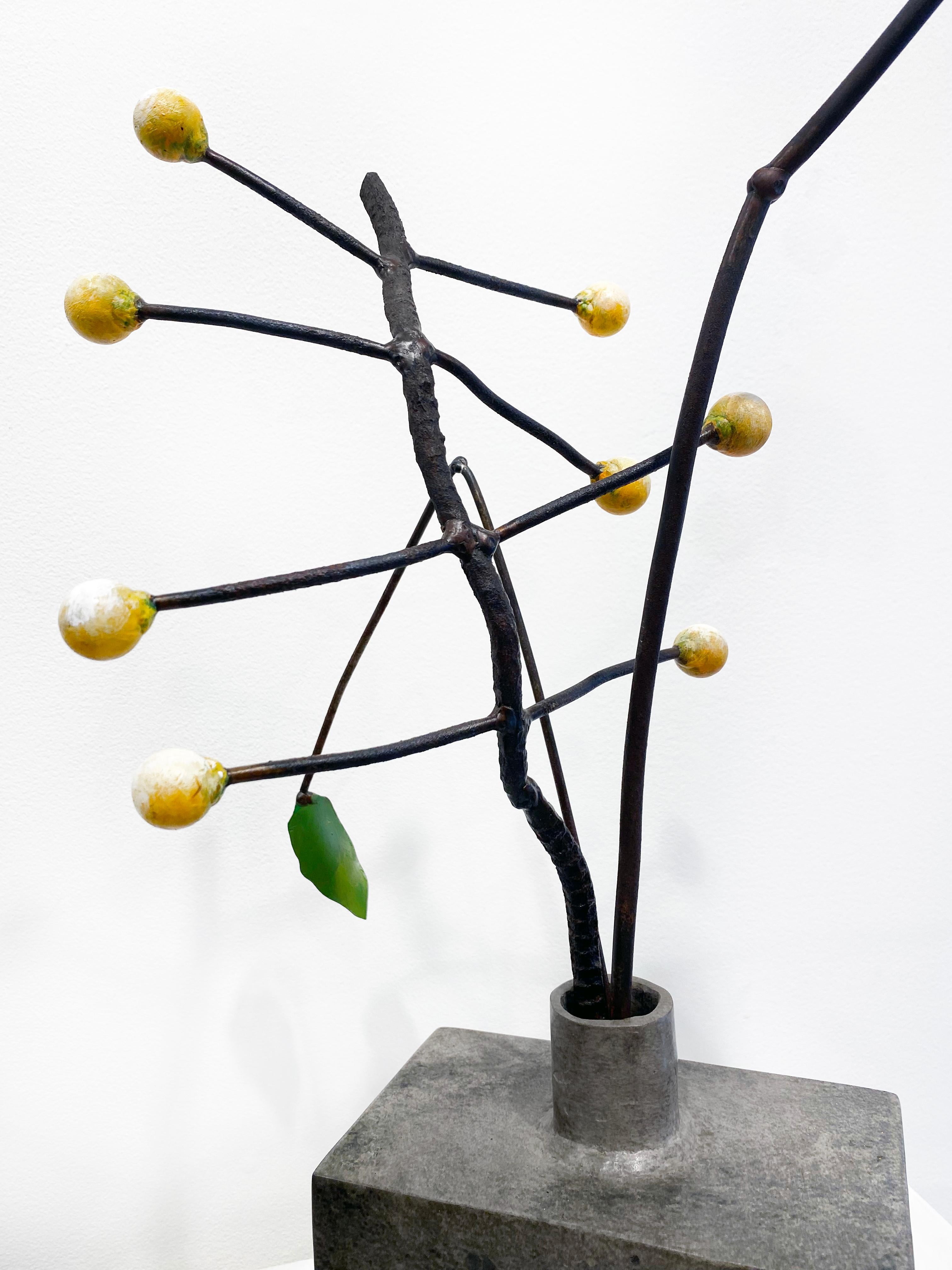 Escultura de bronce y acero de David Kimball Anderson 'Amapola, semillas' en venta 7