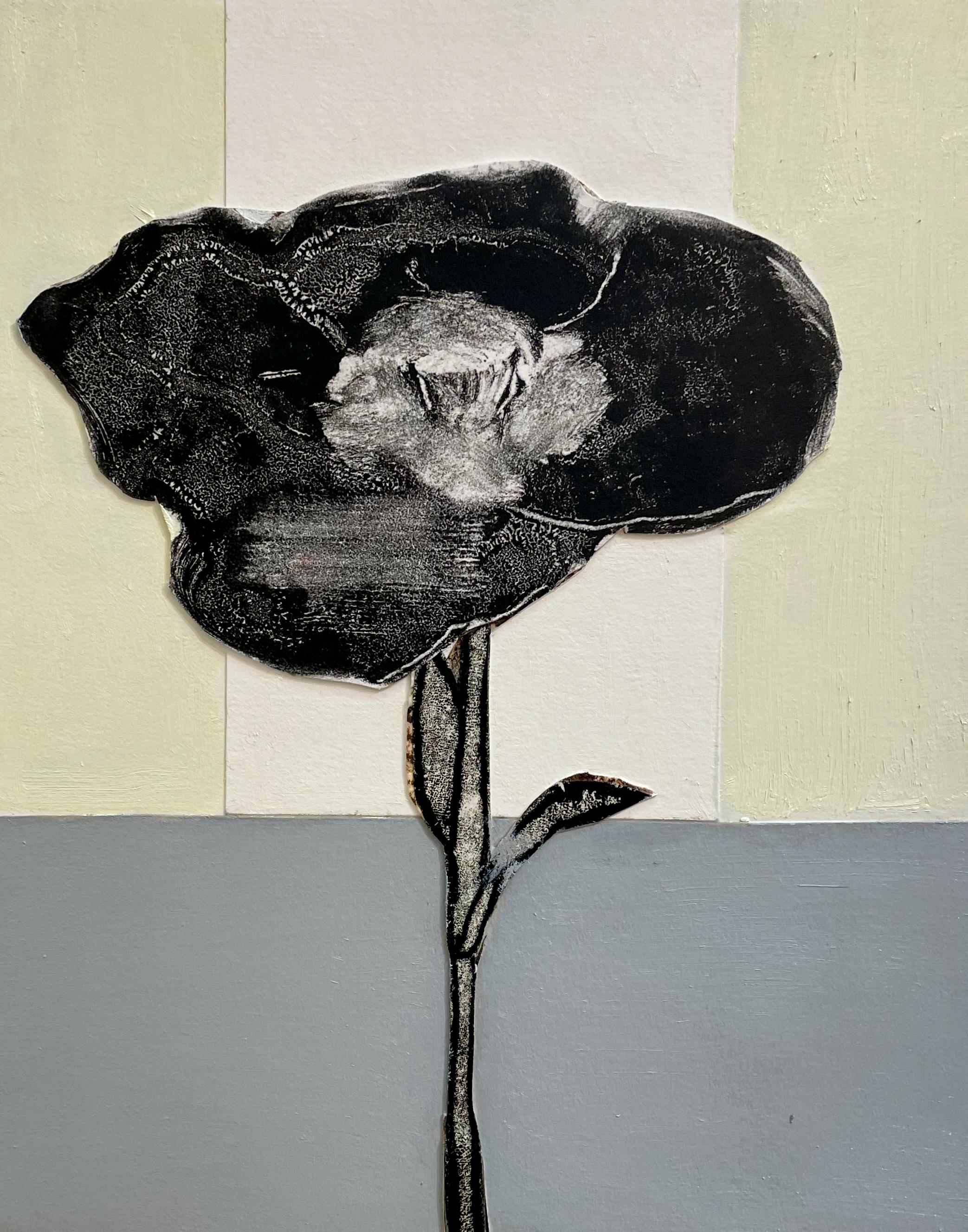 Schwarzer Mohn (kleines Stillleben, Blume auf gestreiftem pastellfarbenem Hintergrund) – Mixed Media Art von David Konigsberg