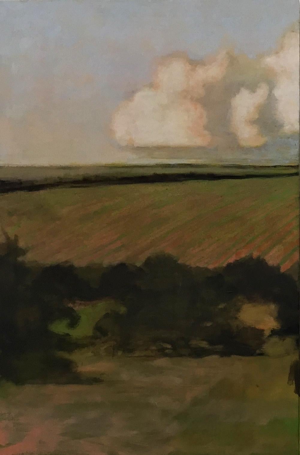 From the Orchard, Evening, Landscape Painting of Clouds, Sky, Gold, Green Field 3