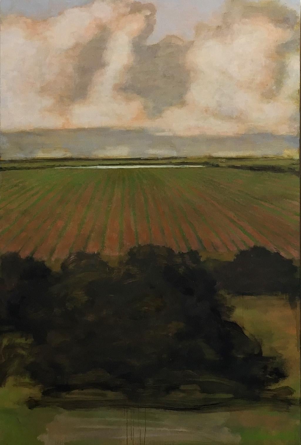 From the Orchard, Evening, Landscape Painting of Clouds, Sky, Gold, Green Field 5