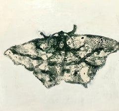 Moth Eight, Oil Painting and Monotype of Insect in Black on Yellow, Off-white