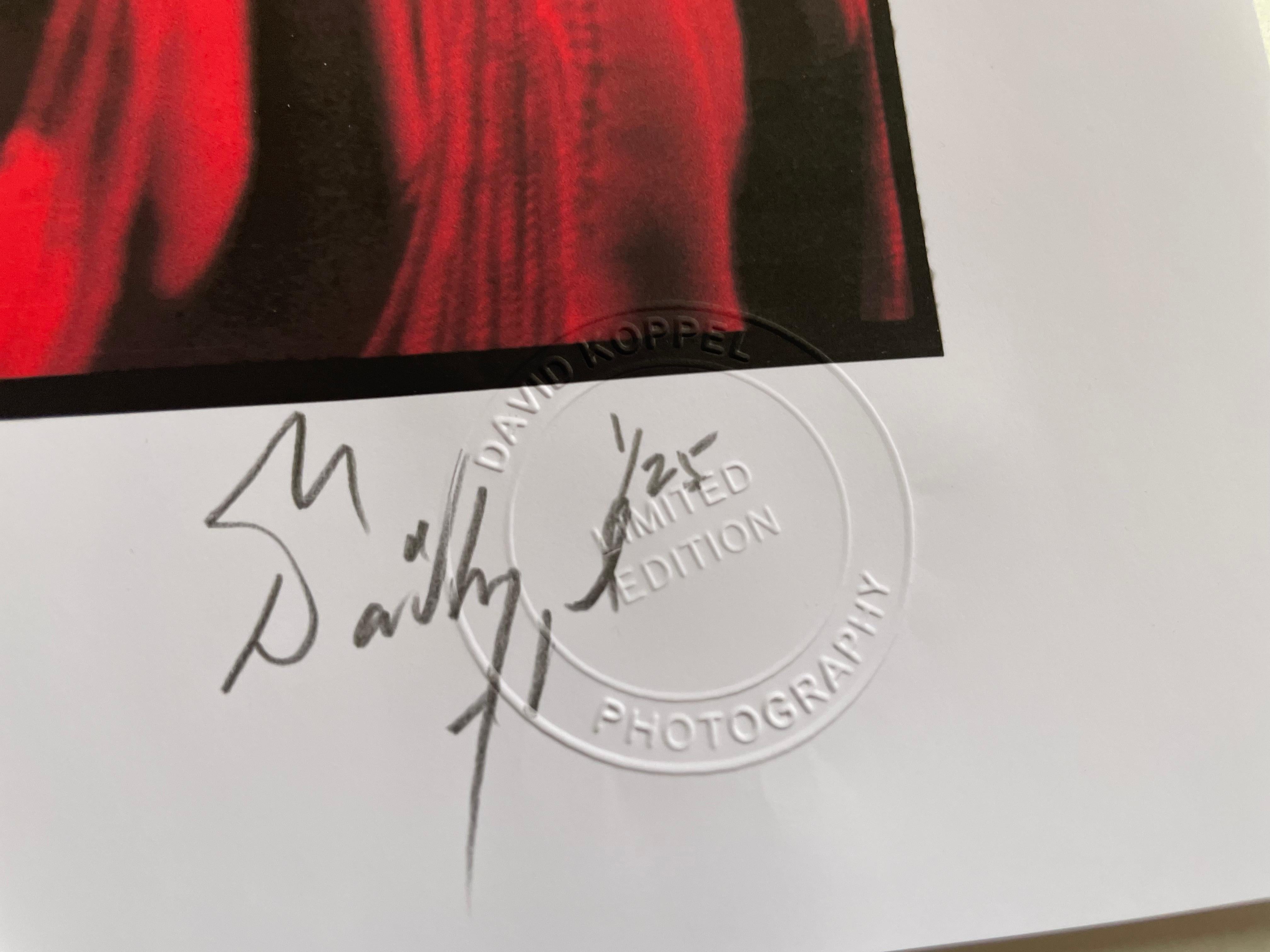 Debbie Harry En directo en la Academia de Brixton 1987 Impresión en color 25 x 17 en venta 6
