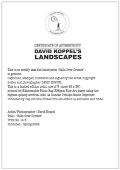 'The Thing From Another World' colour framed photograph LARGE'