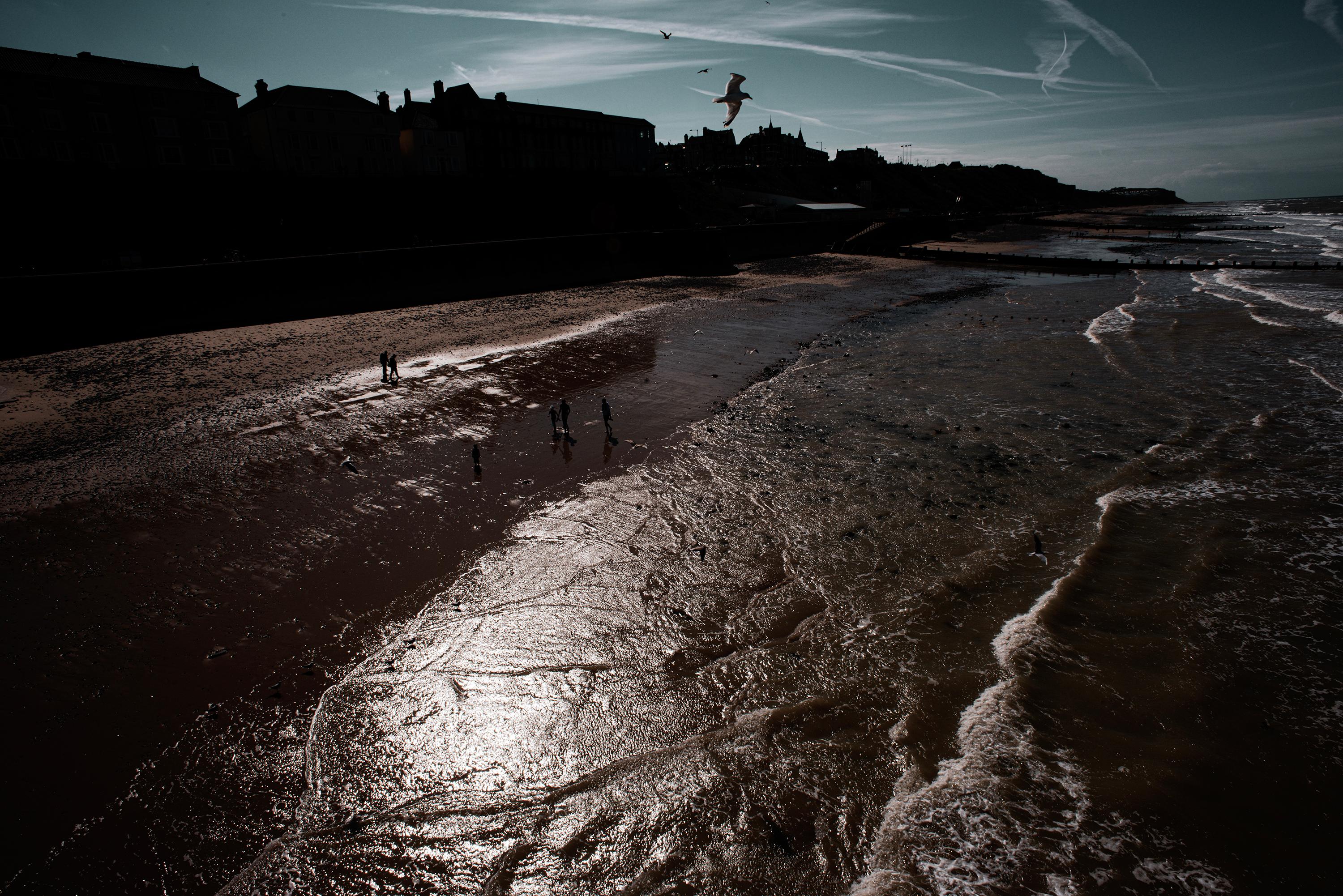 Möwen über Cromer Pier