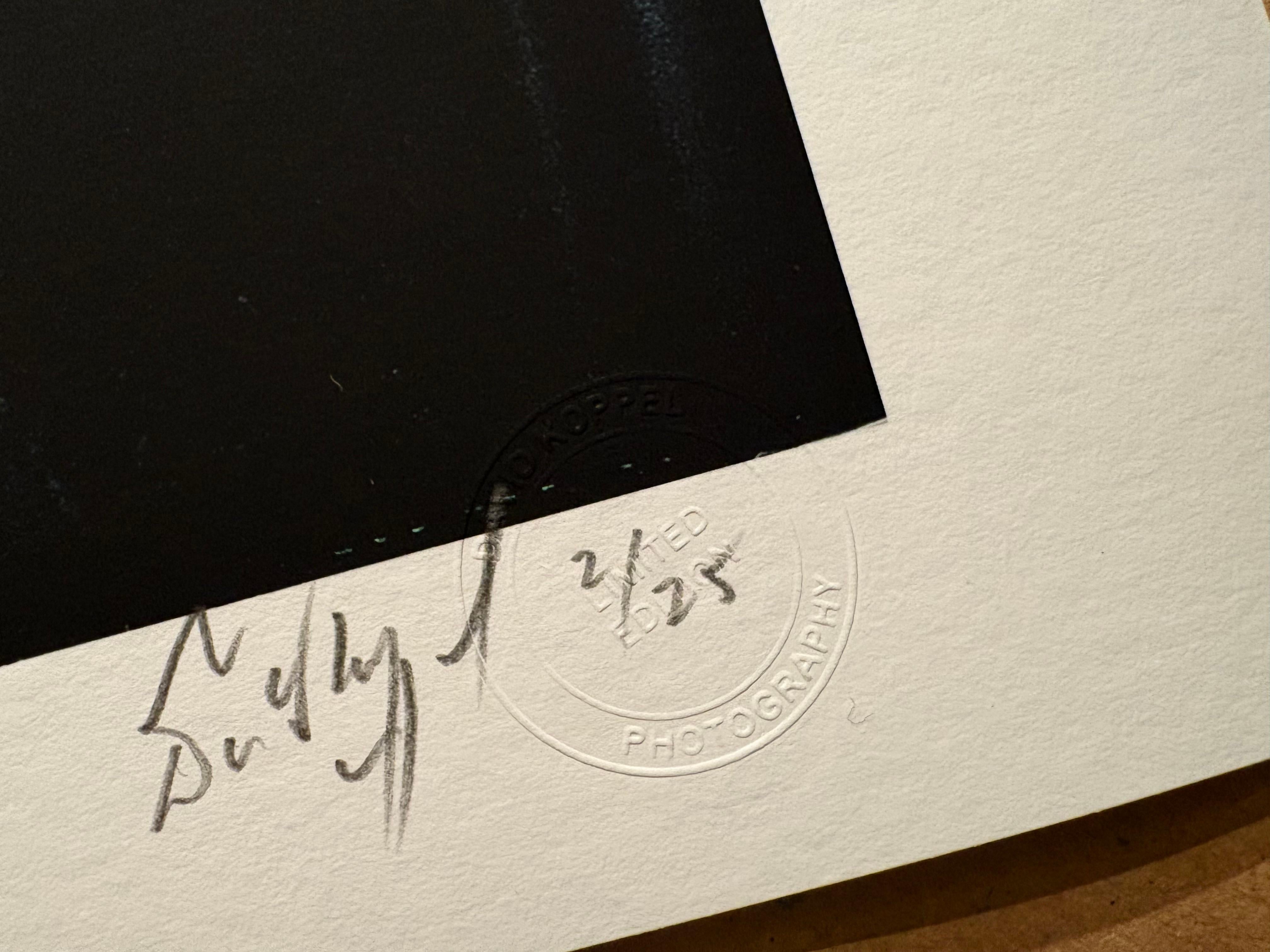 Michael Hutchence - The 'Finger' For Sale 2