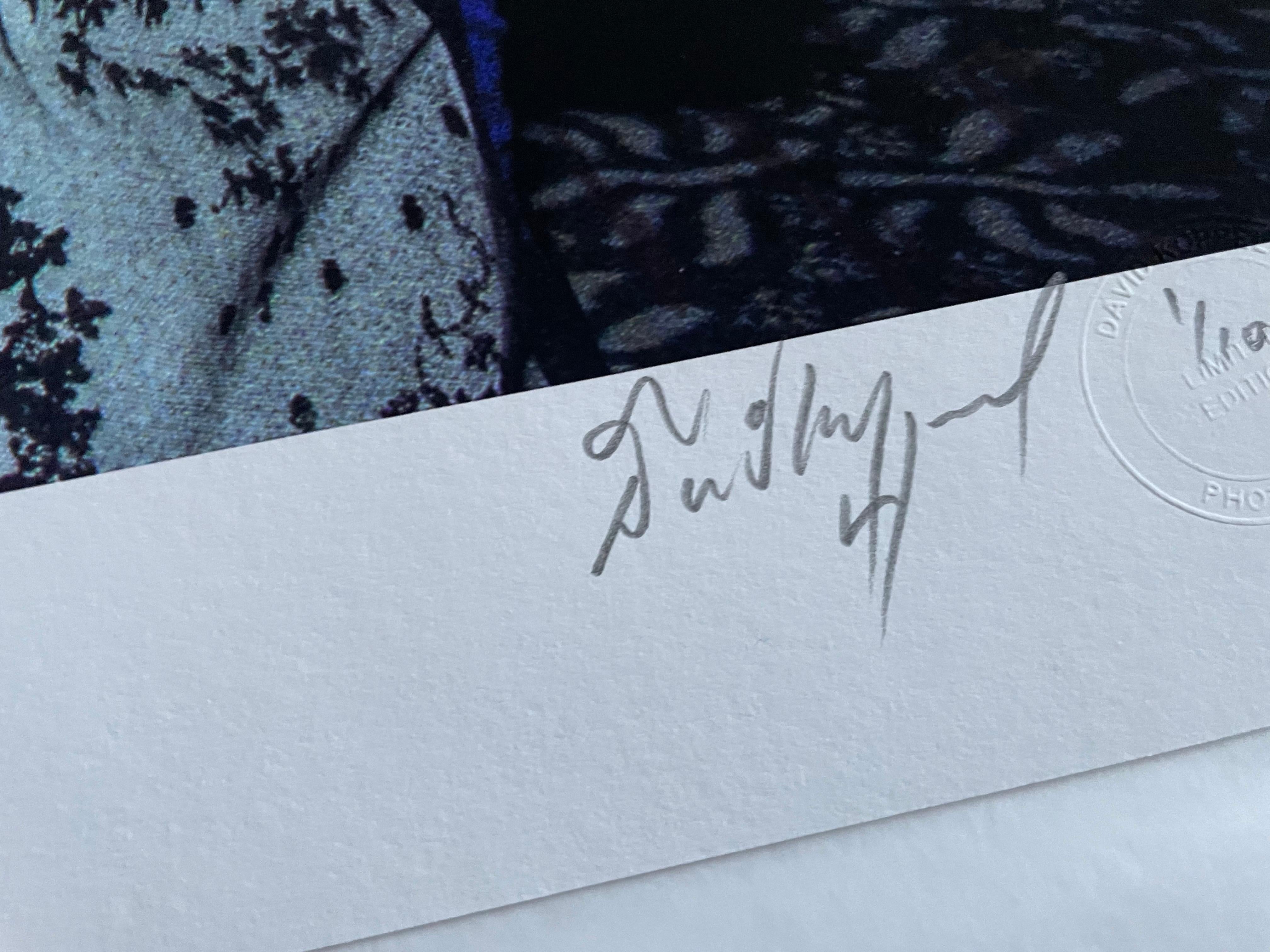 David Koppel fue aprendiz de fotógrafo en el rudo y agitado mundo de los paparazzi de Fleet Street en el Londres de los años 80, cuando sus habilidades captaron la esencia misma de la Década del Yo que dio origen a la cultura del famoseo