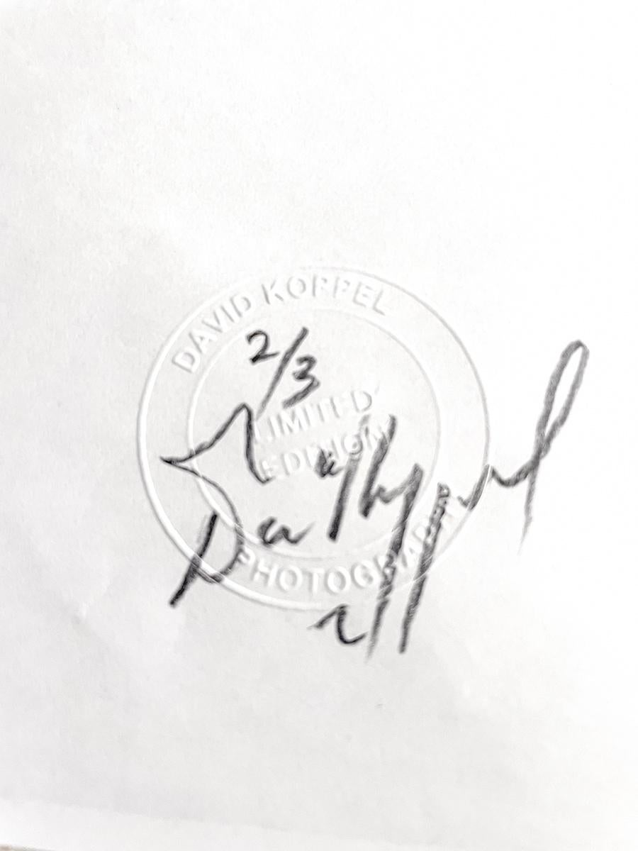 Großformatige 35-mm-Fotografie in limitierter Auflage (44 x 35 Zoll), aufgenommen in Norfolk. Eines von nur drei Exemplaren und nur in dieser Größe erhältlich.
David Koppel absolvierte seine fotografische Ausbildung in der rauen Welt der Paparazzi