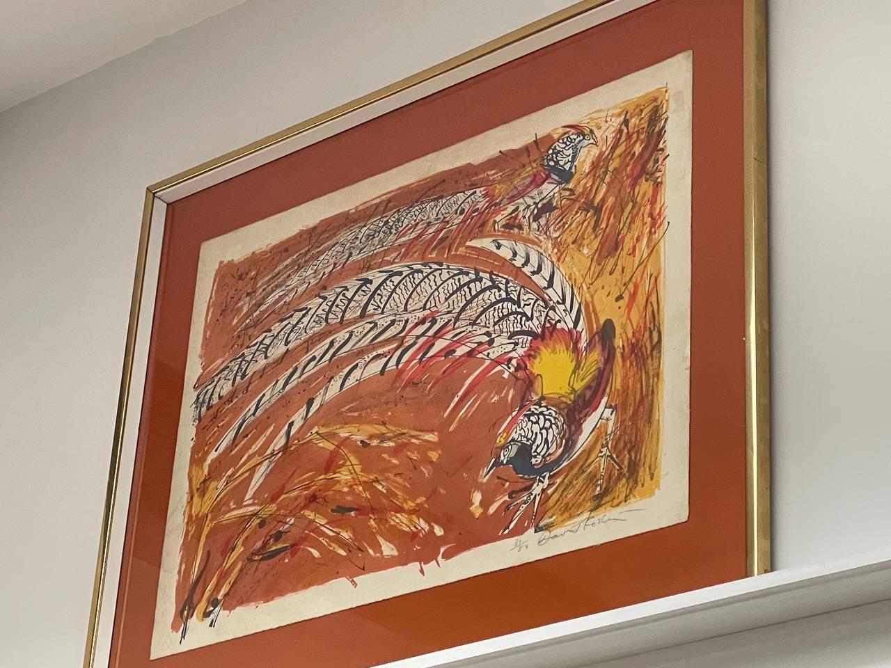 David Koster Animal Painting - Golden Pheasant