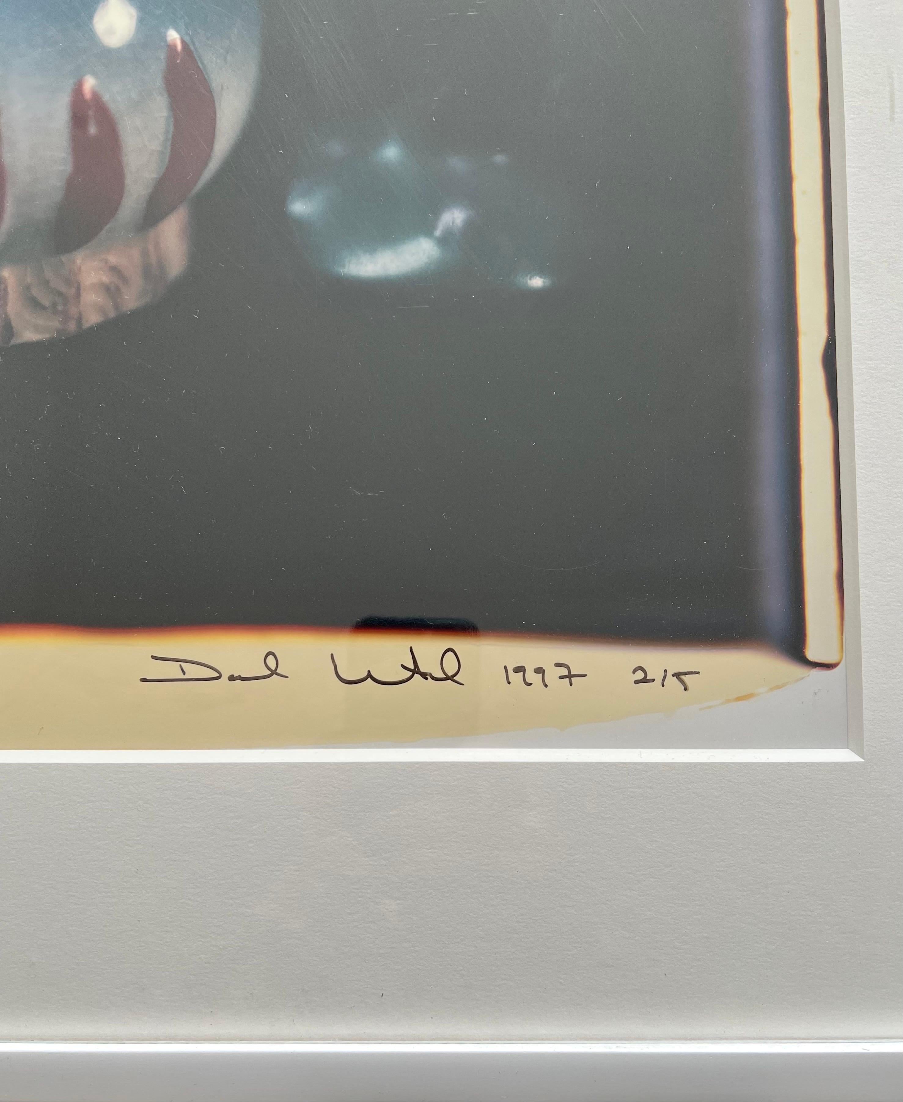Großformatige Polaroid-Fotografie, Farbfoto David Levinthal, Schwarze Americana-Kunst im Angebot 2