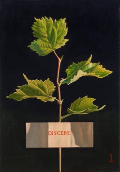 DISCERE (Imparare)