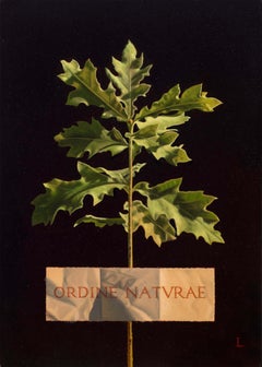 ORDINE NATURAE (El Orden de la Naturaleza)