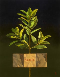 SCIRE (connaître)