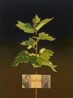 SOLIS (Luz solar)
