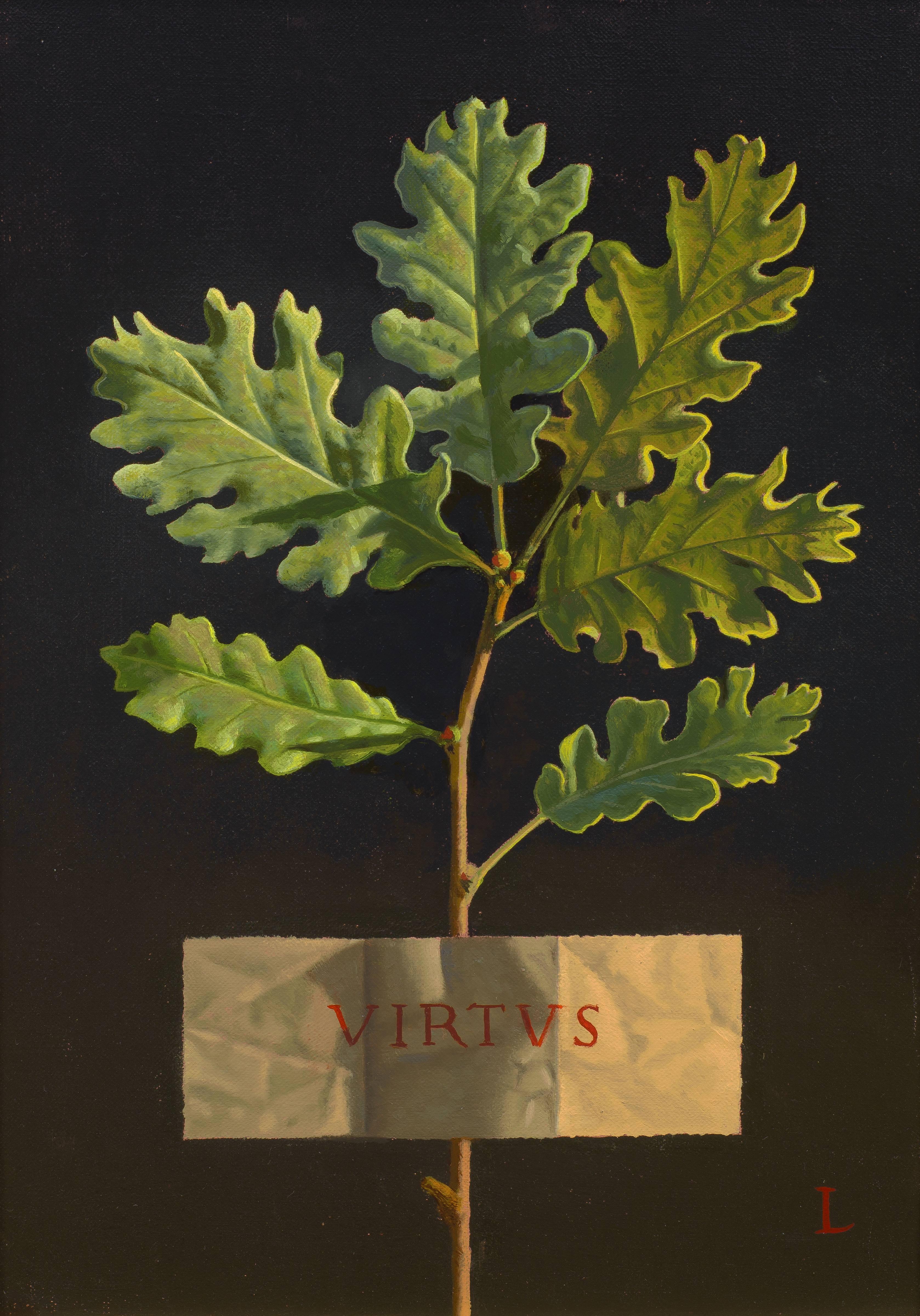 Still-Life Painting de David Ligare - VIRTUS (Virtud)