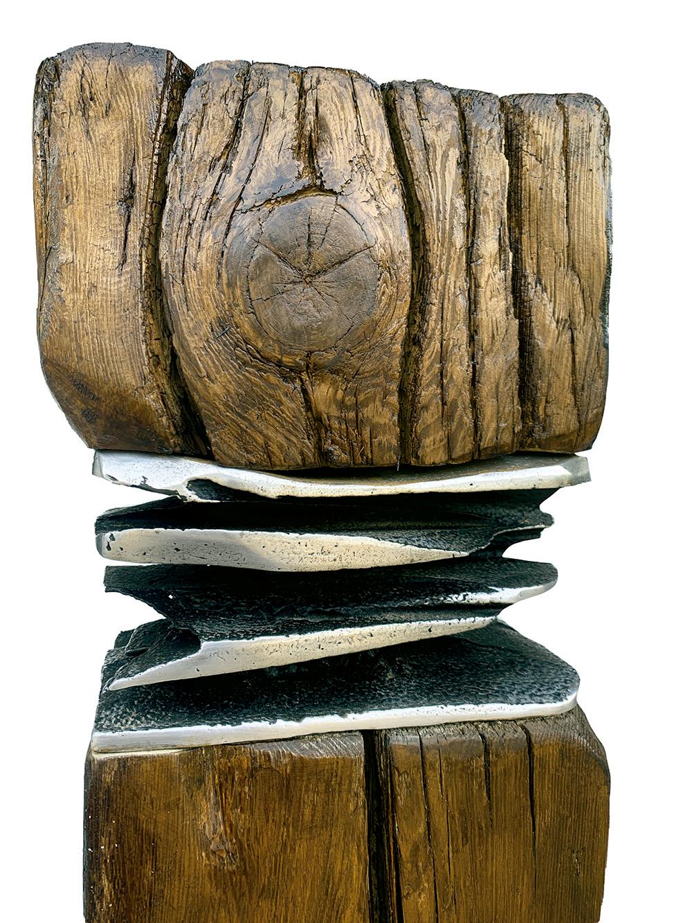 Moderne Skulptur „Kootook“ von David Marshall aus recyceltem Holz und Aluminium für den Außenbereich im Angebot 1