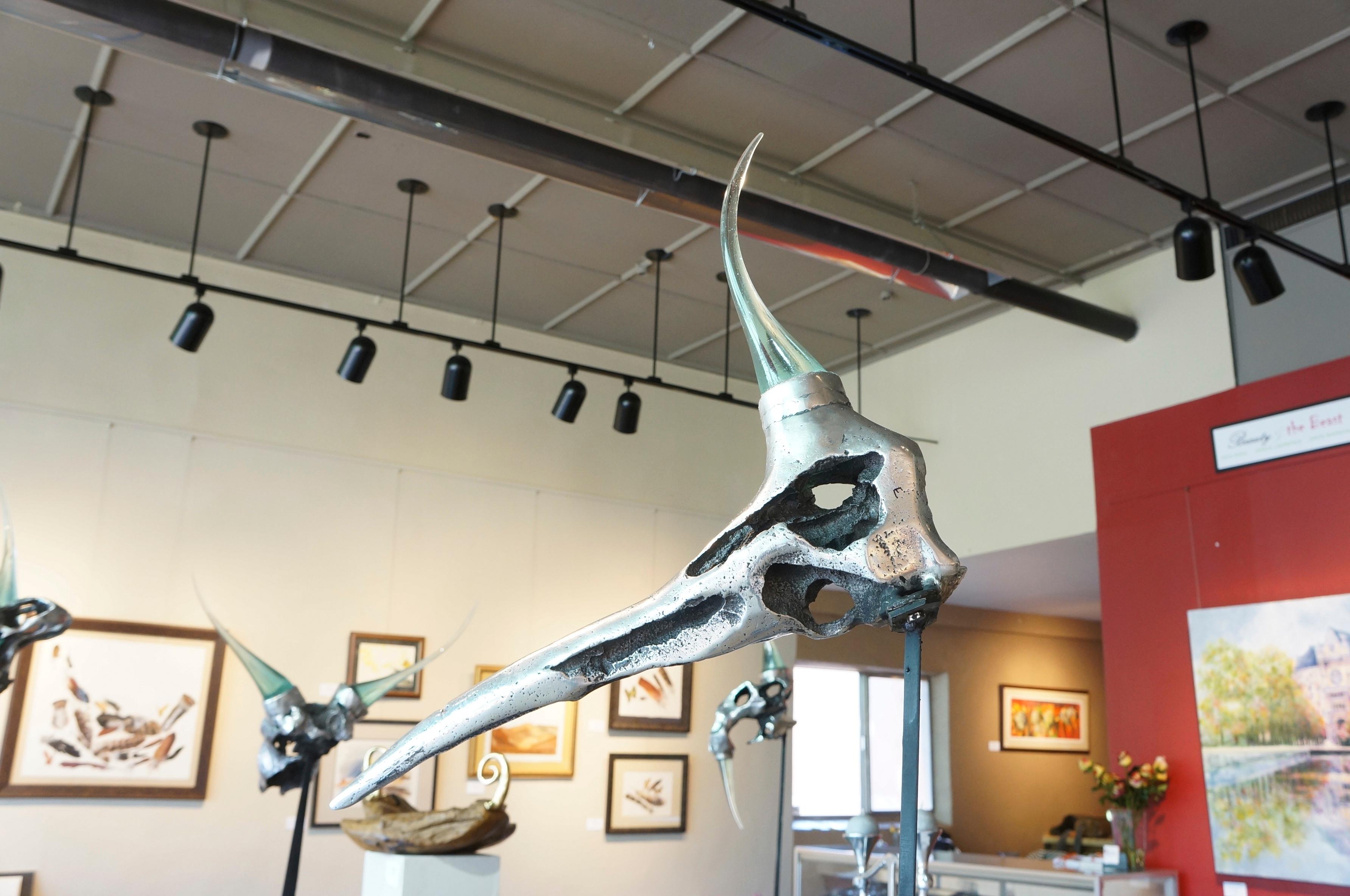 „ Goonibird“ Einzigartiger Fantasie Original Schädel, Aluminium, Glas, Stahl, Stahl (Abstrakt), Sculpture, von David Marshall