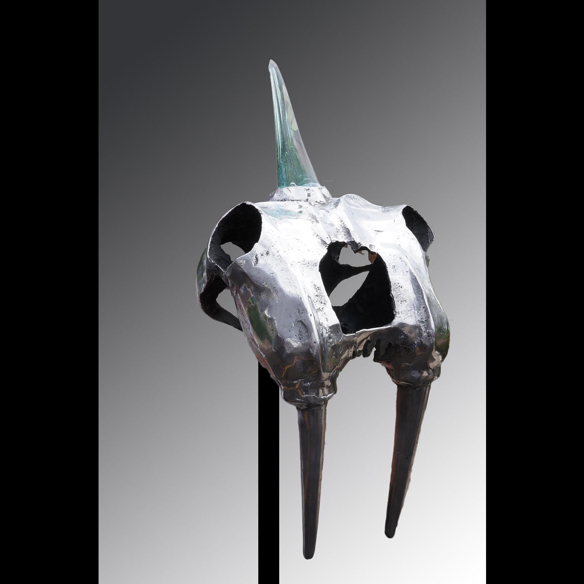 Original Fantasie- Totenkopf-Skulptur „ Sabretooth“ aus Aluminiumguss, Glas, Stahl und Stahl (Grau), Abstract Sculpture, von David Marshall