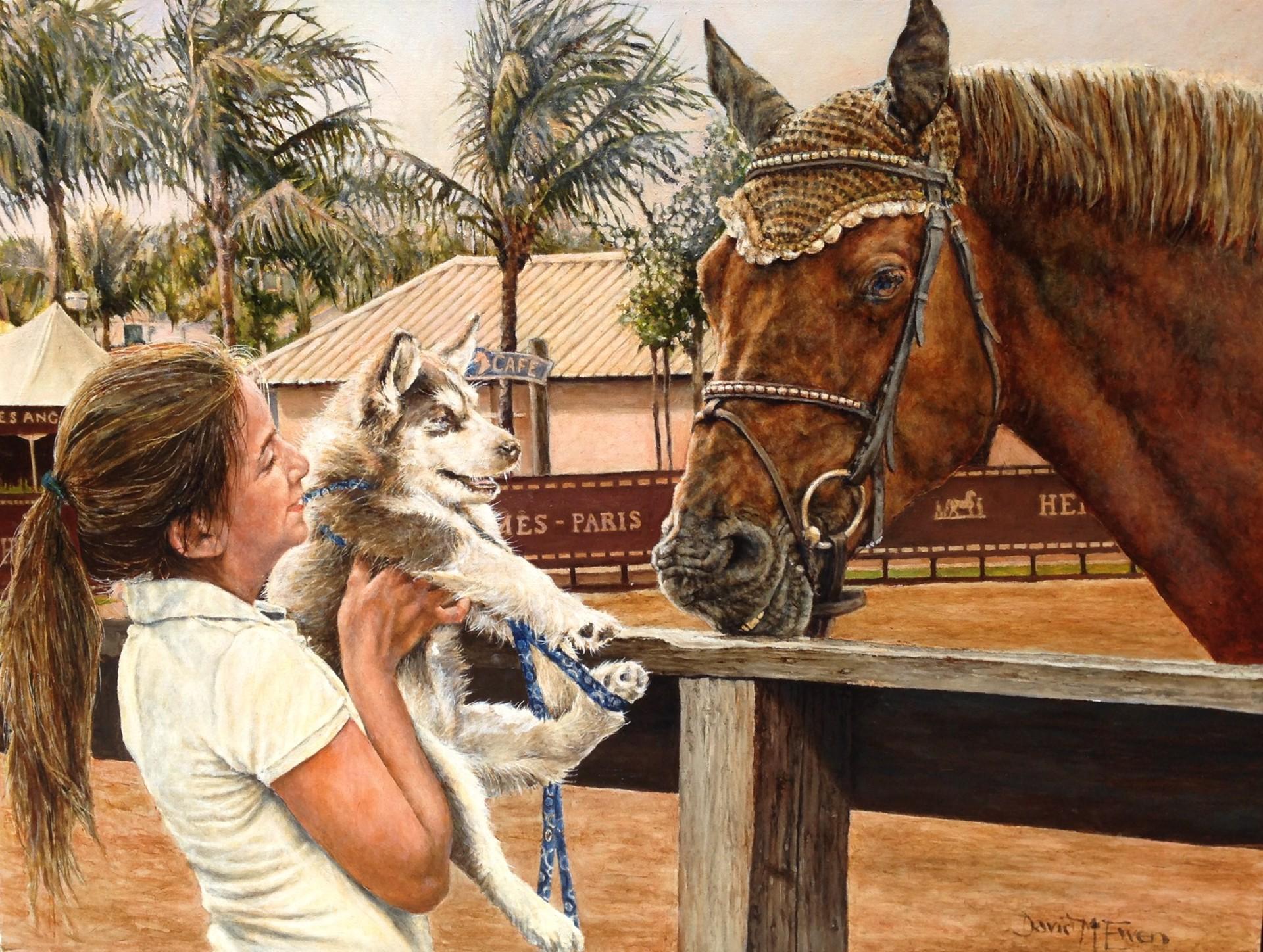 Wellington, FL oil of hunter/jumper horse, girl and Shepherd dog, "Say Hello"