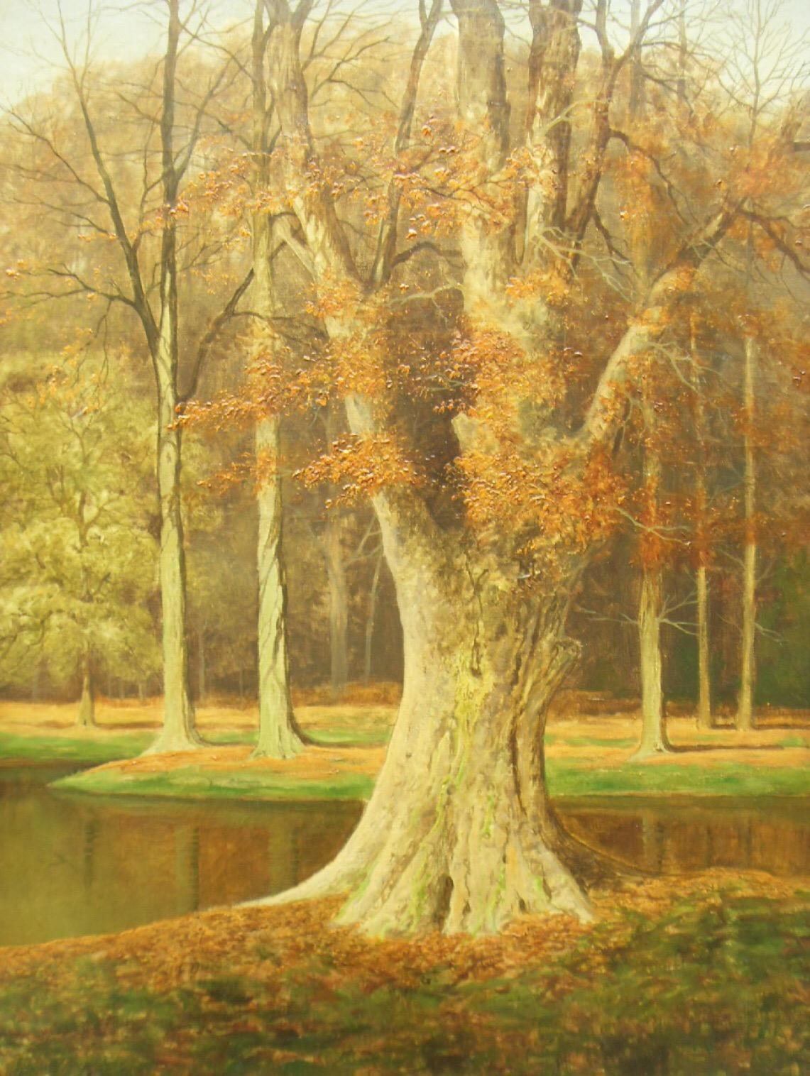 Autumnal Meadow Landscape For Sale 2
