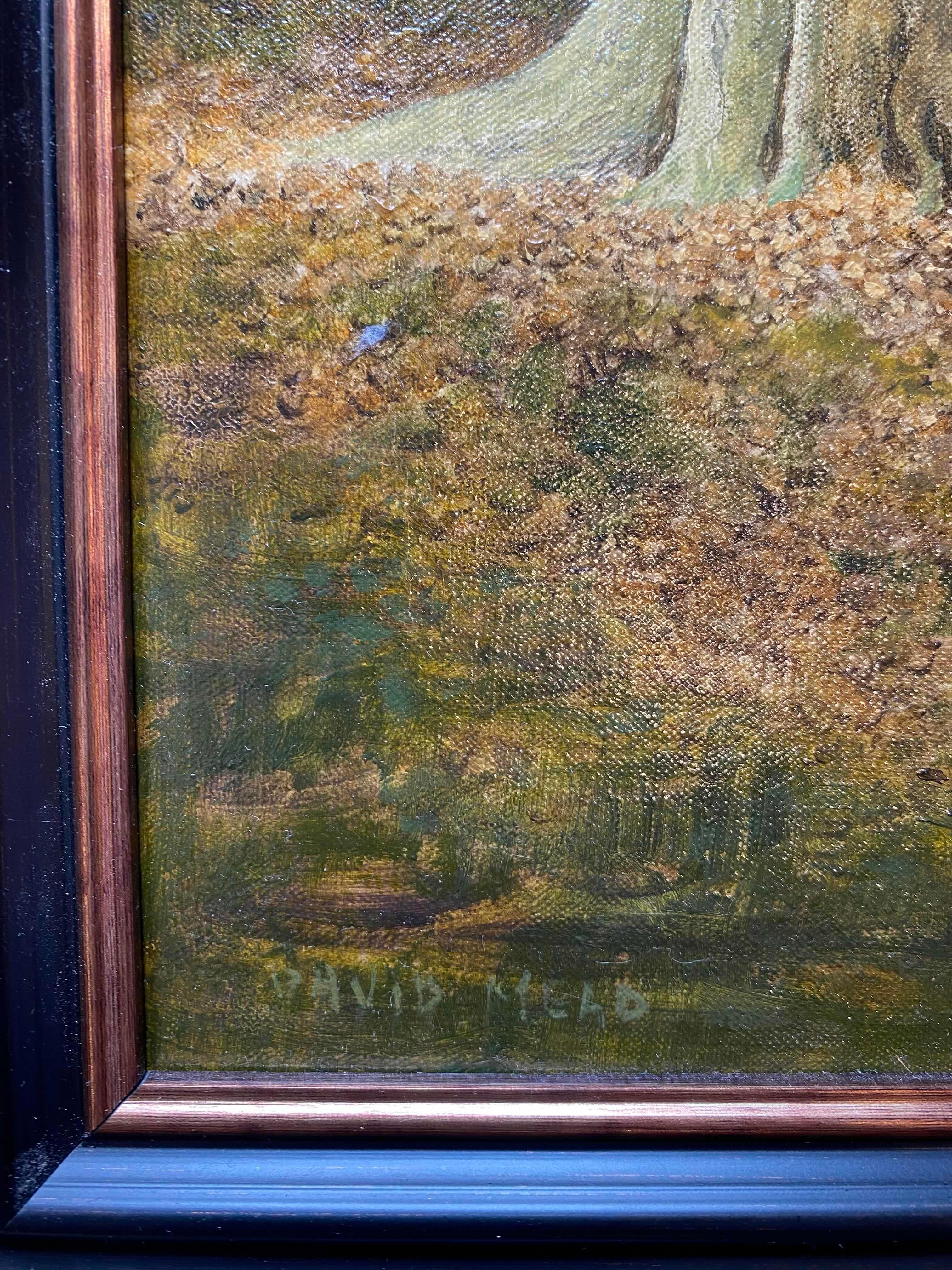 Landschaft bei Arundel