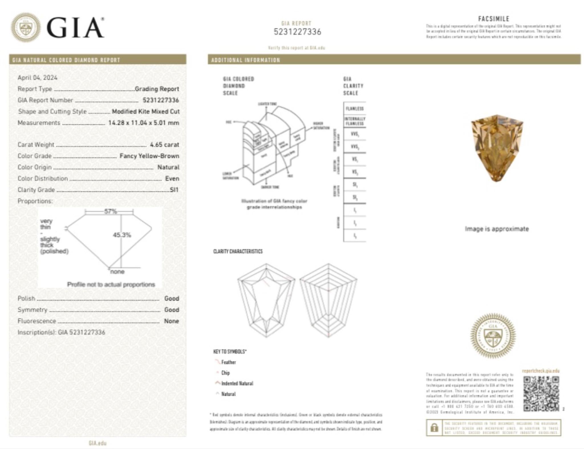 David Morris GIA Certified 6.85 Natural Coloured Diamond & Diamond Necklace For Sale 1