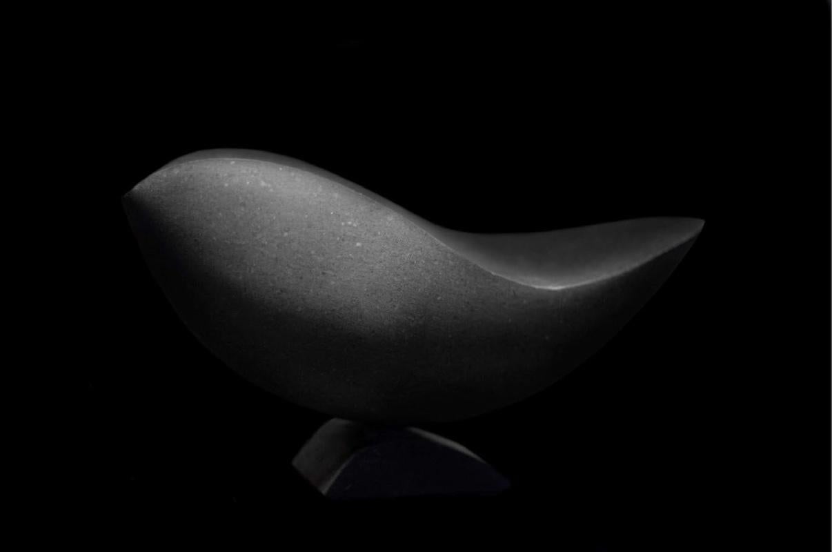 Georgian Contemporary Sculpture by David Natidze - Black Bird 1