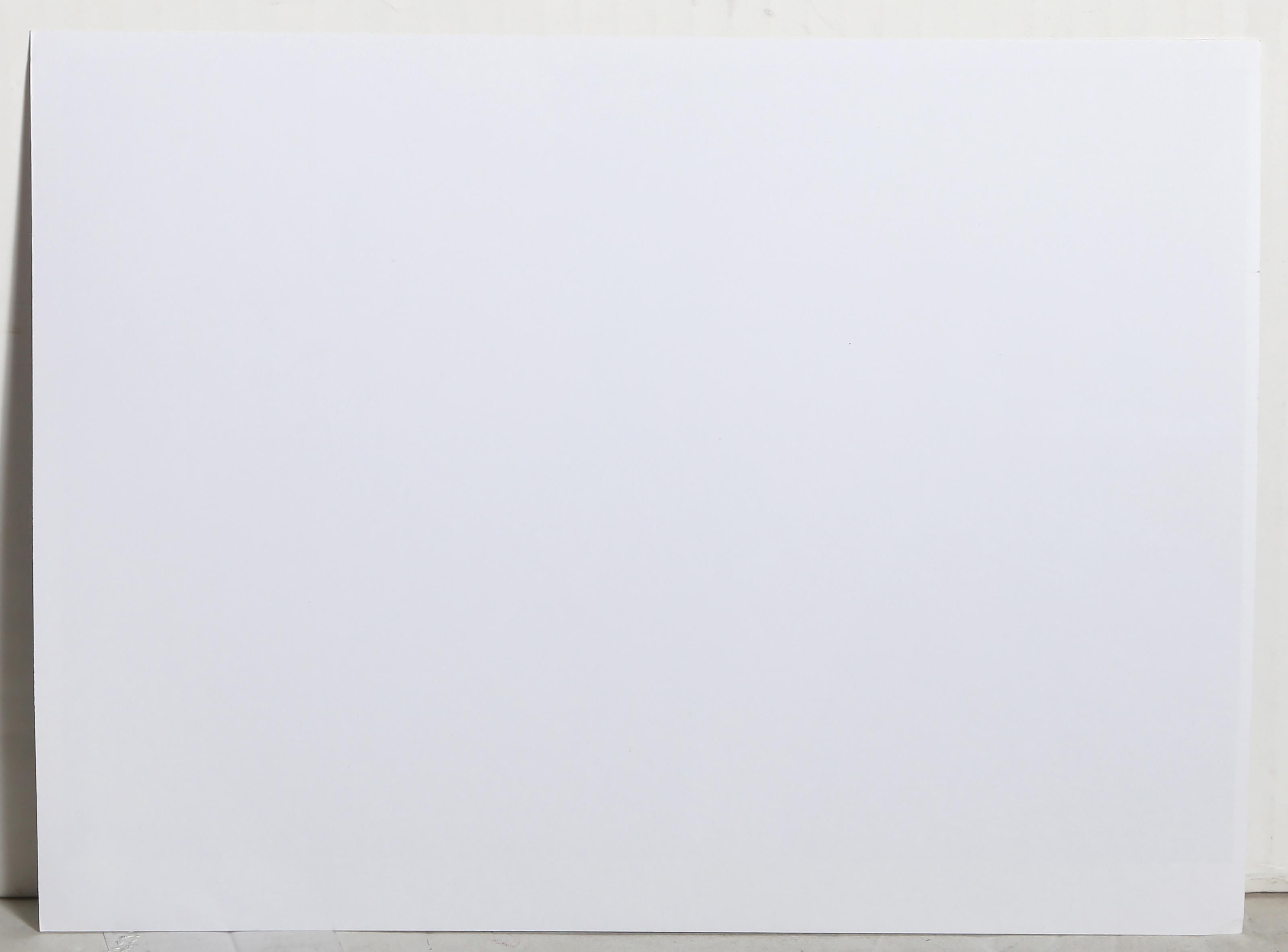 Anthony Anderson and Oggi Ogburn, Contemporary Photograph by David Ogburn For Sale 3