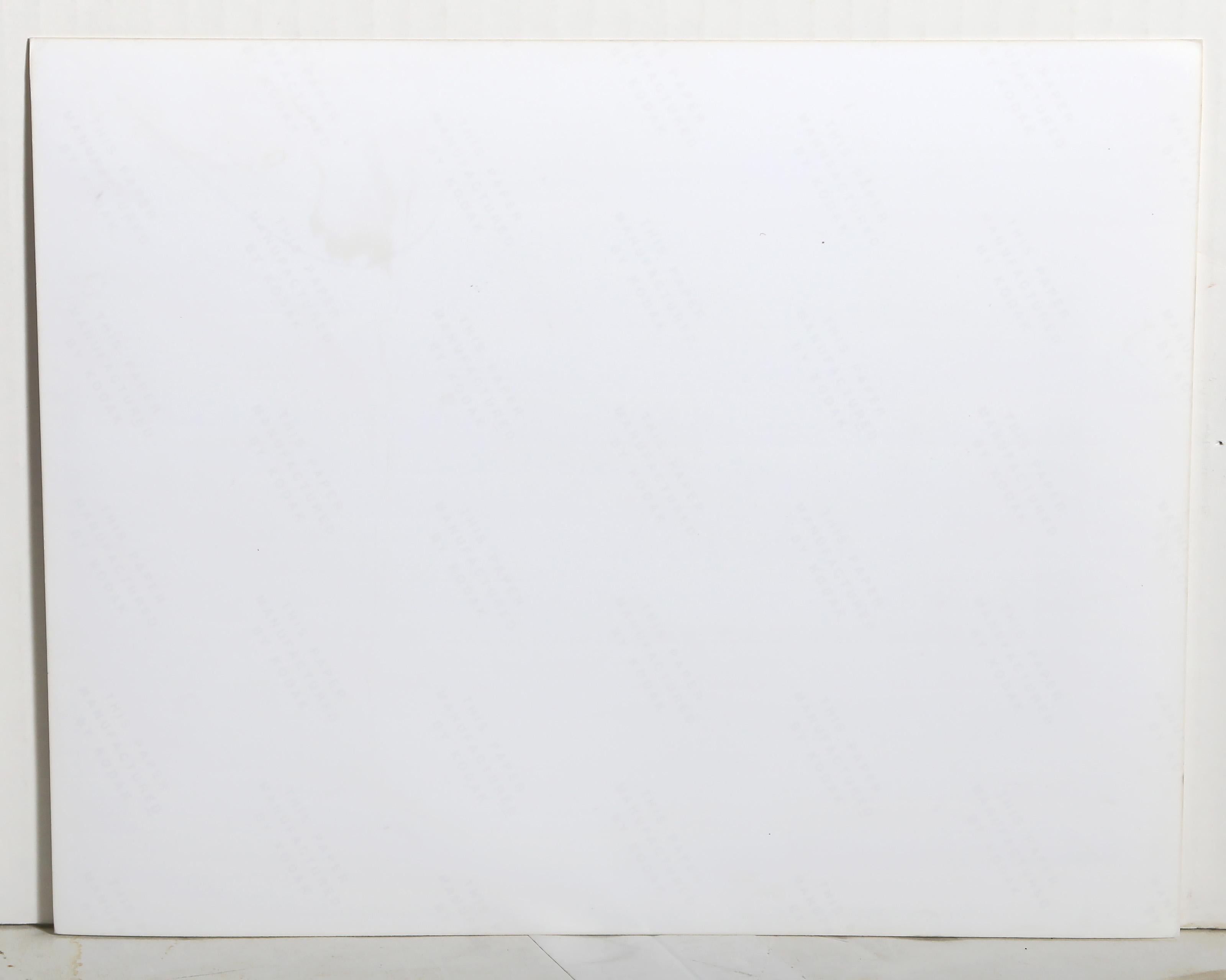 Ice-T, Contemporary Photograph by David Ogburn For Sale 3